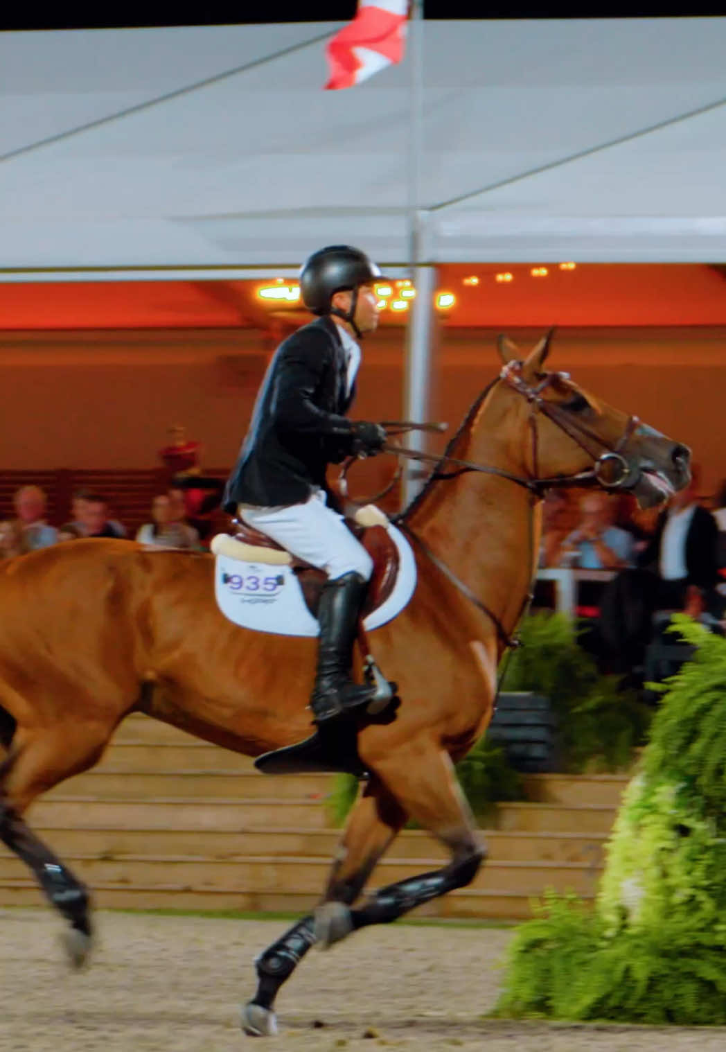 @Major League Show Jumping