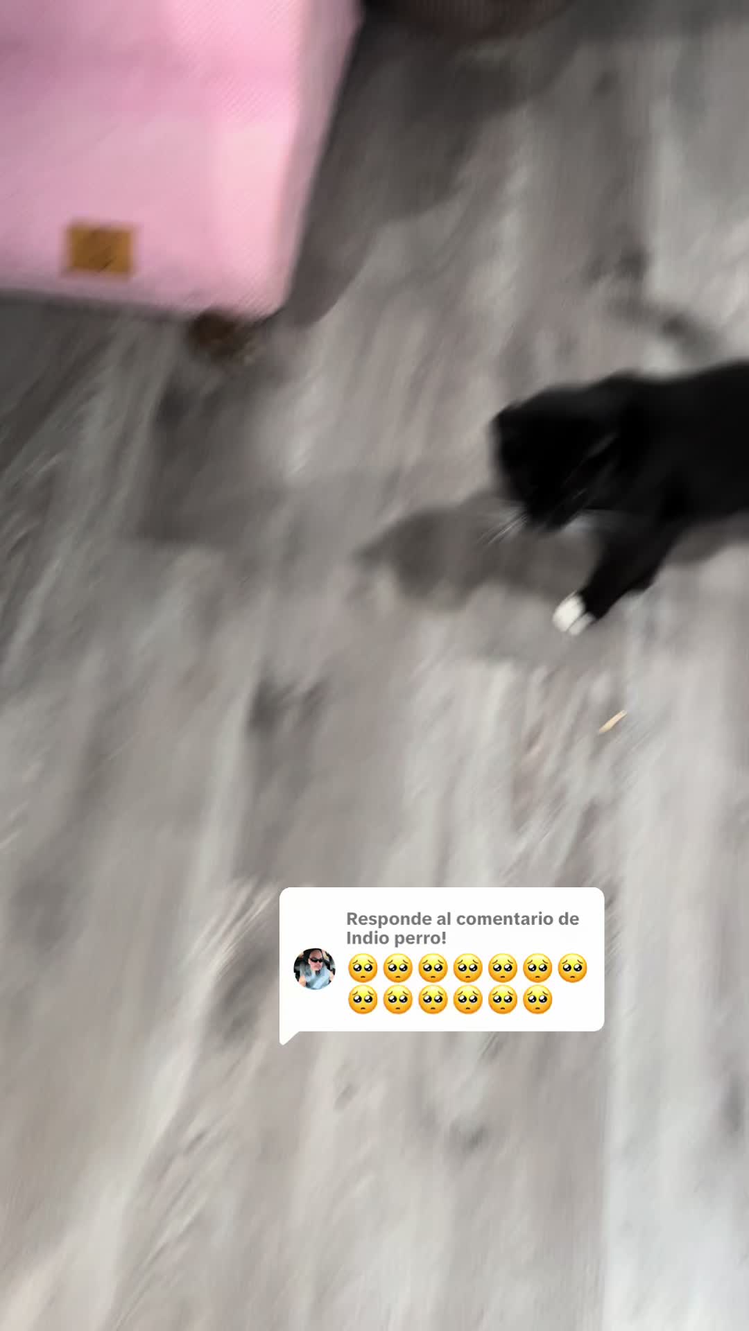 @Zulema