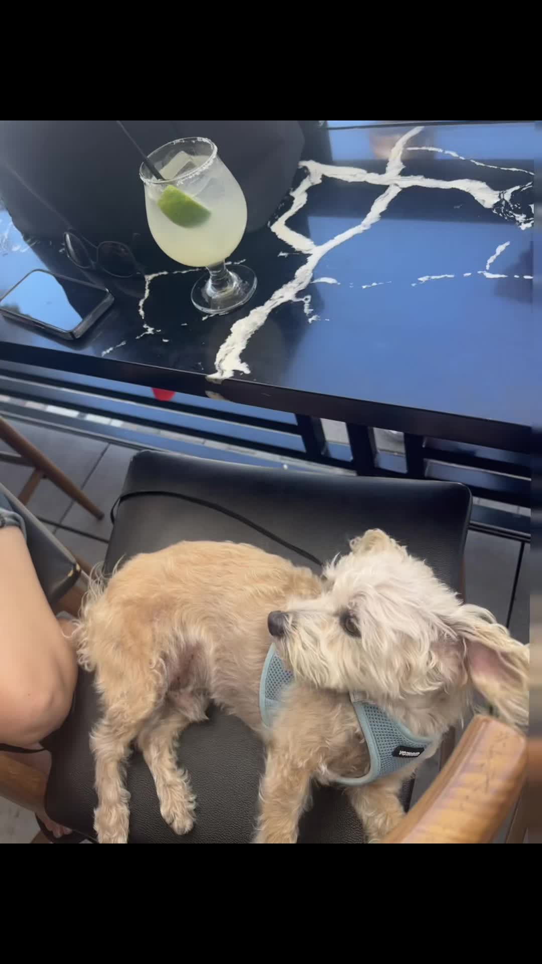 @He Was A PoodleBoi