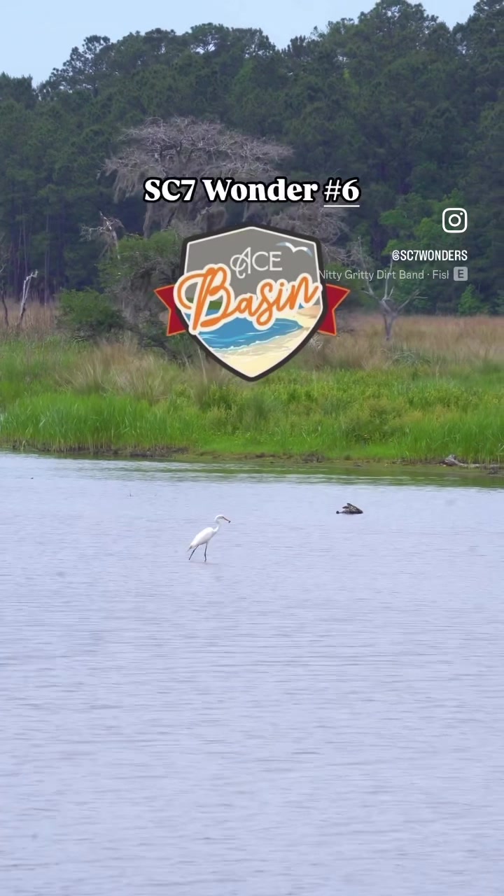@South Carolina 7