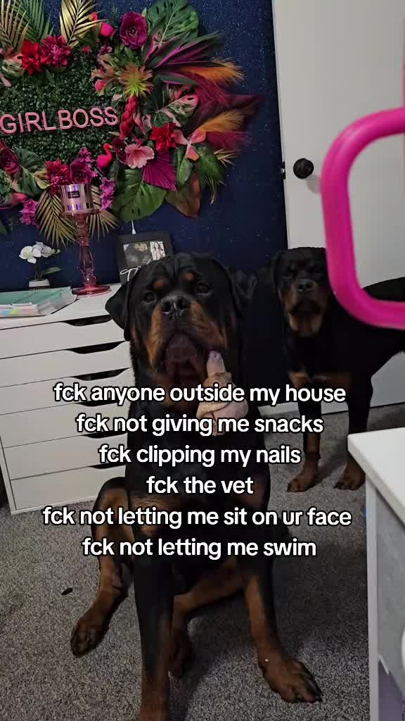 @👑💎Rudegirldino🦖