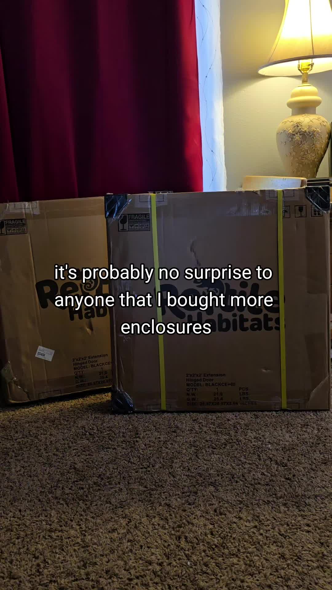 @MoonlitMorphs