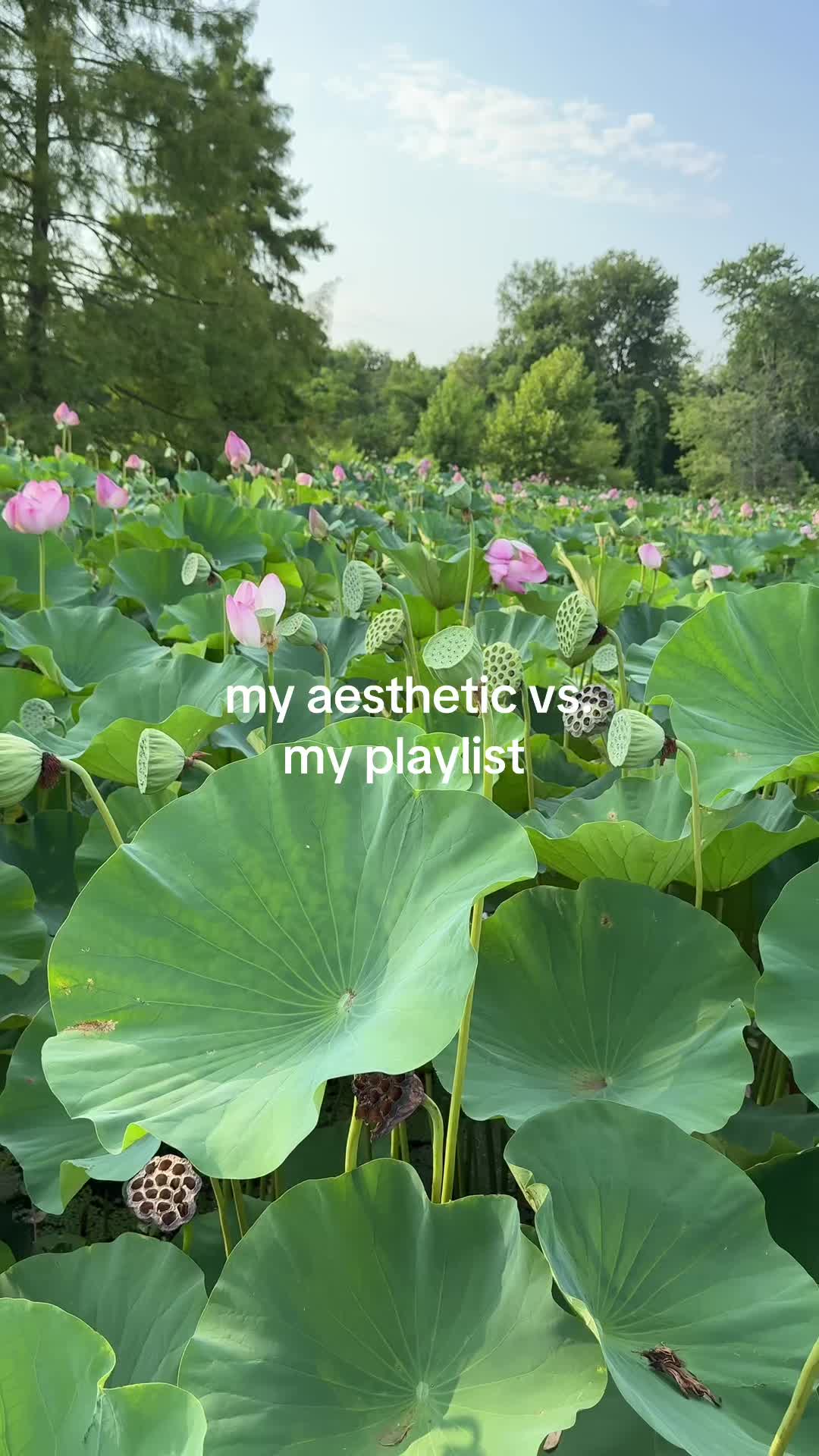 @oyeshee