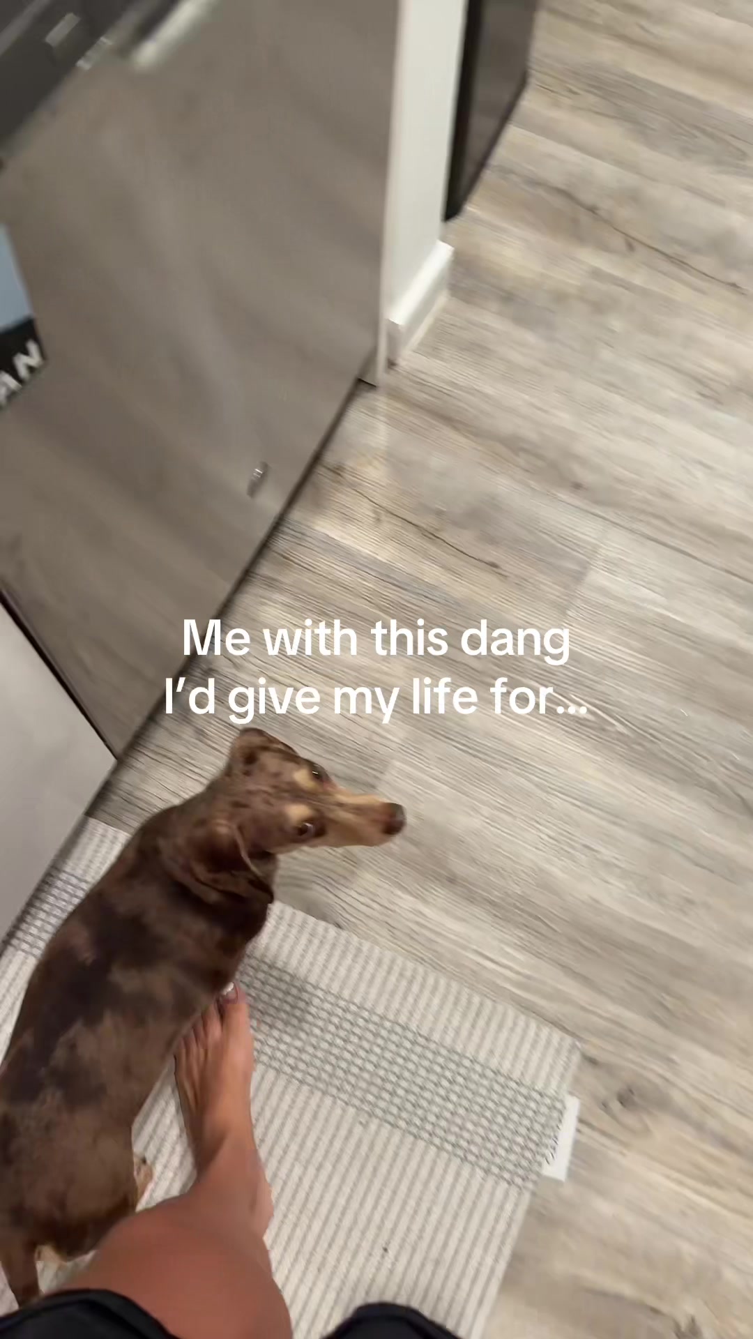 @Mel