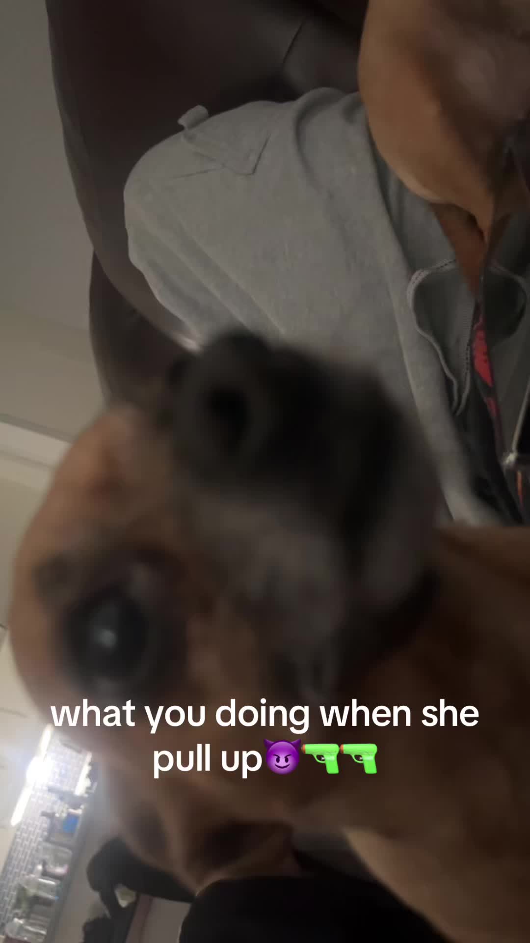 @≽^&bull; ˕ &bull; ྀི≼