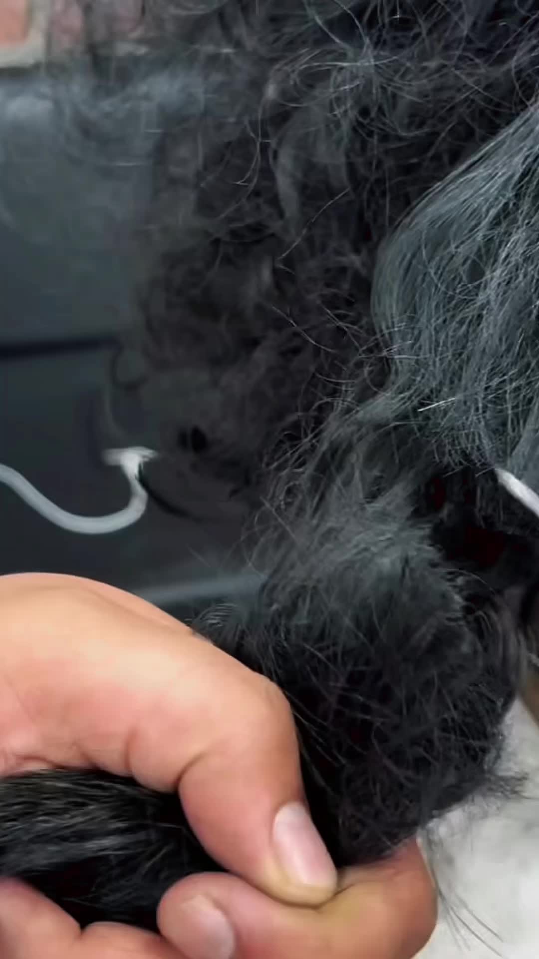 @HAIR ASMR