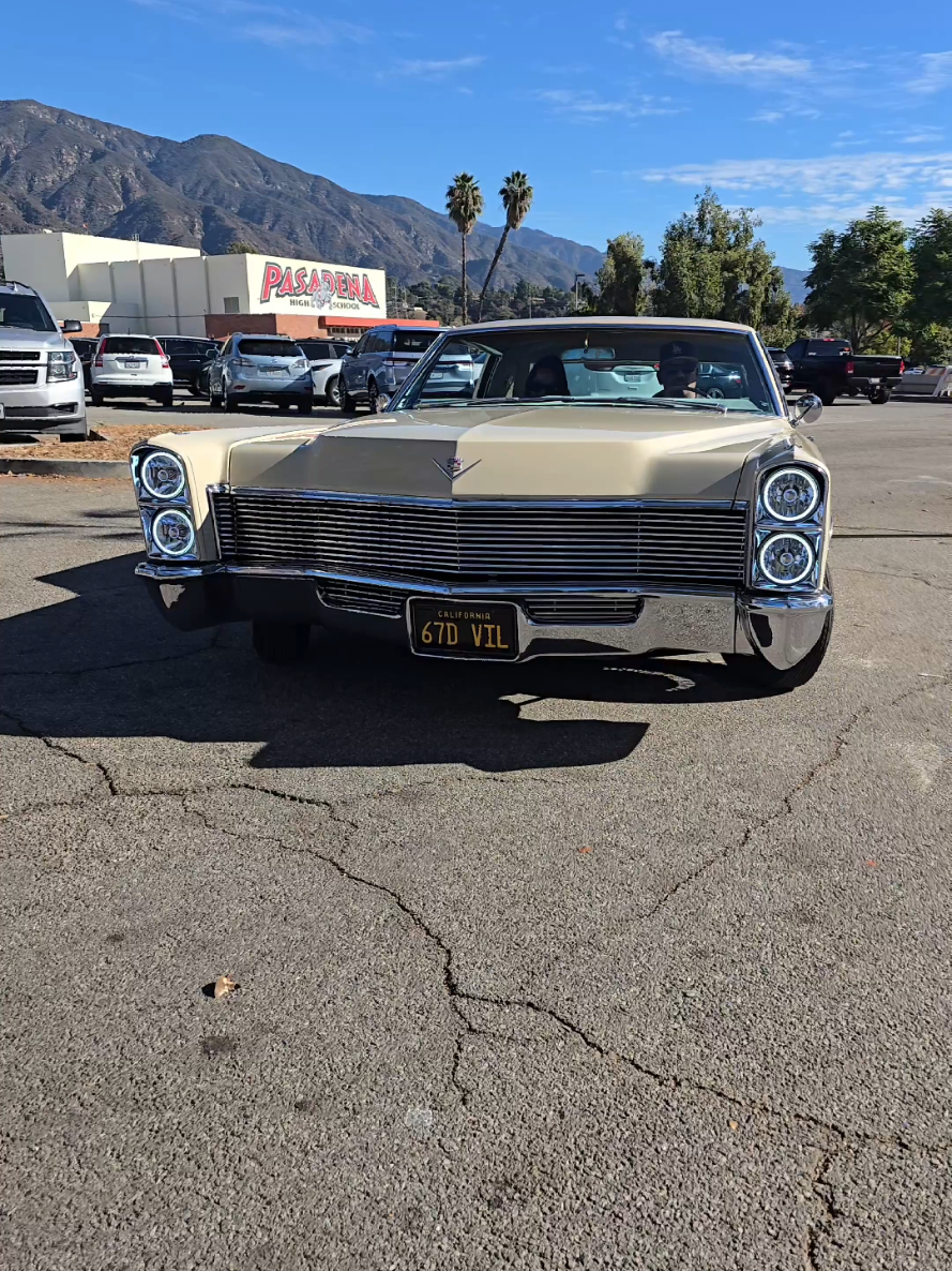 @Los Wheels