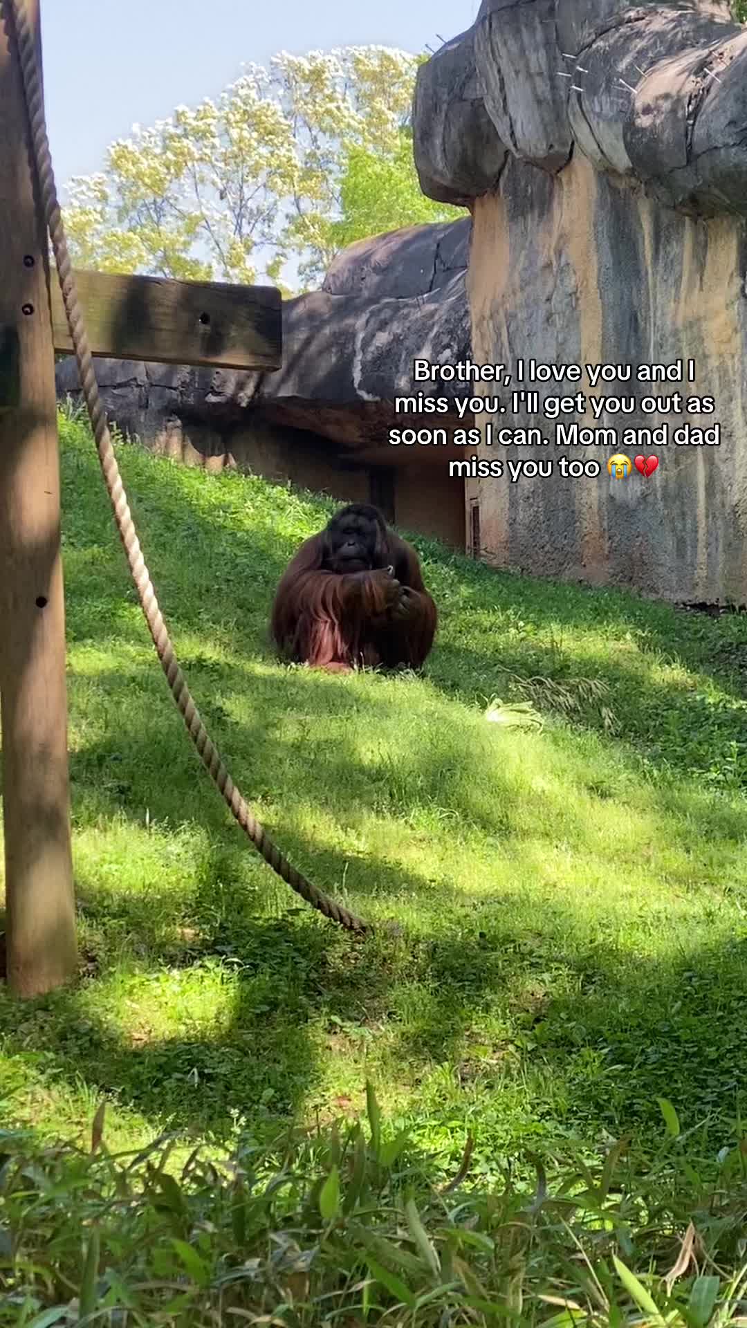 @Bailee
