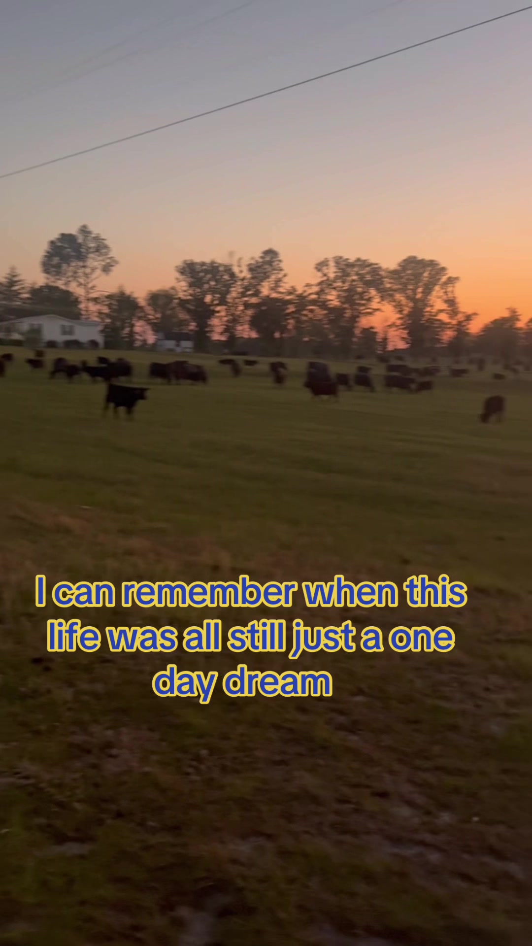 @Caitlin Brown Roberts