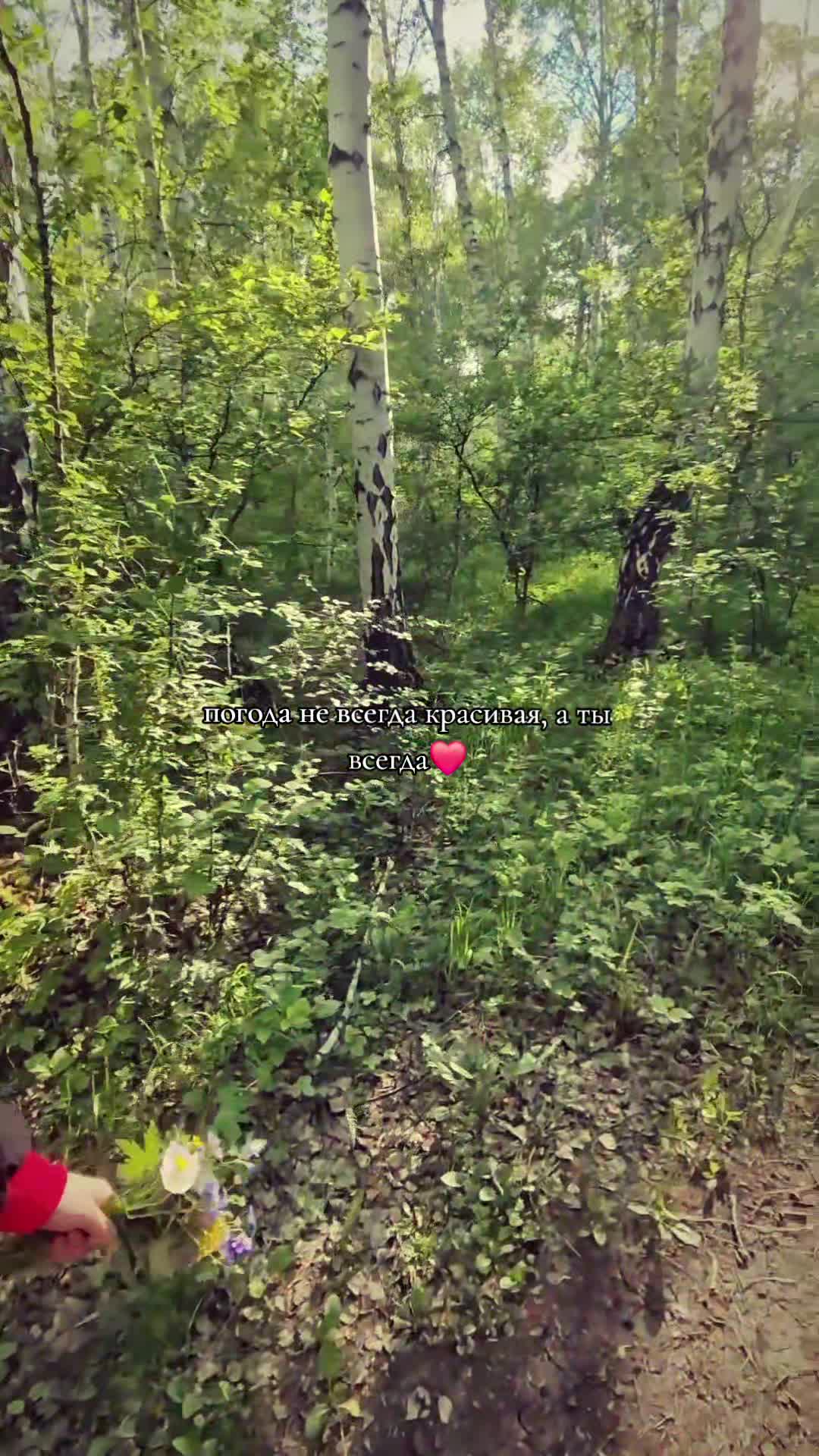 @Чаэ✨️