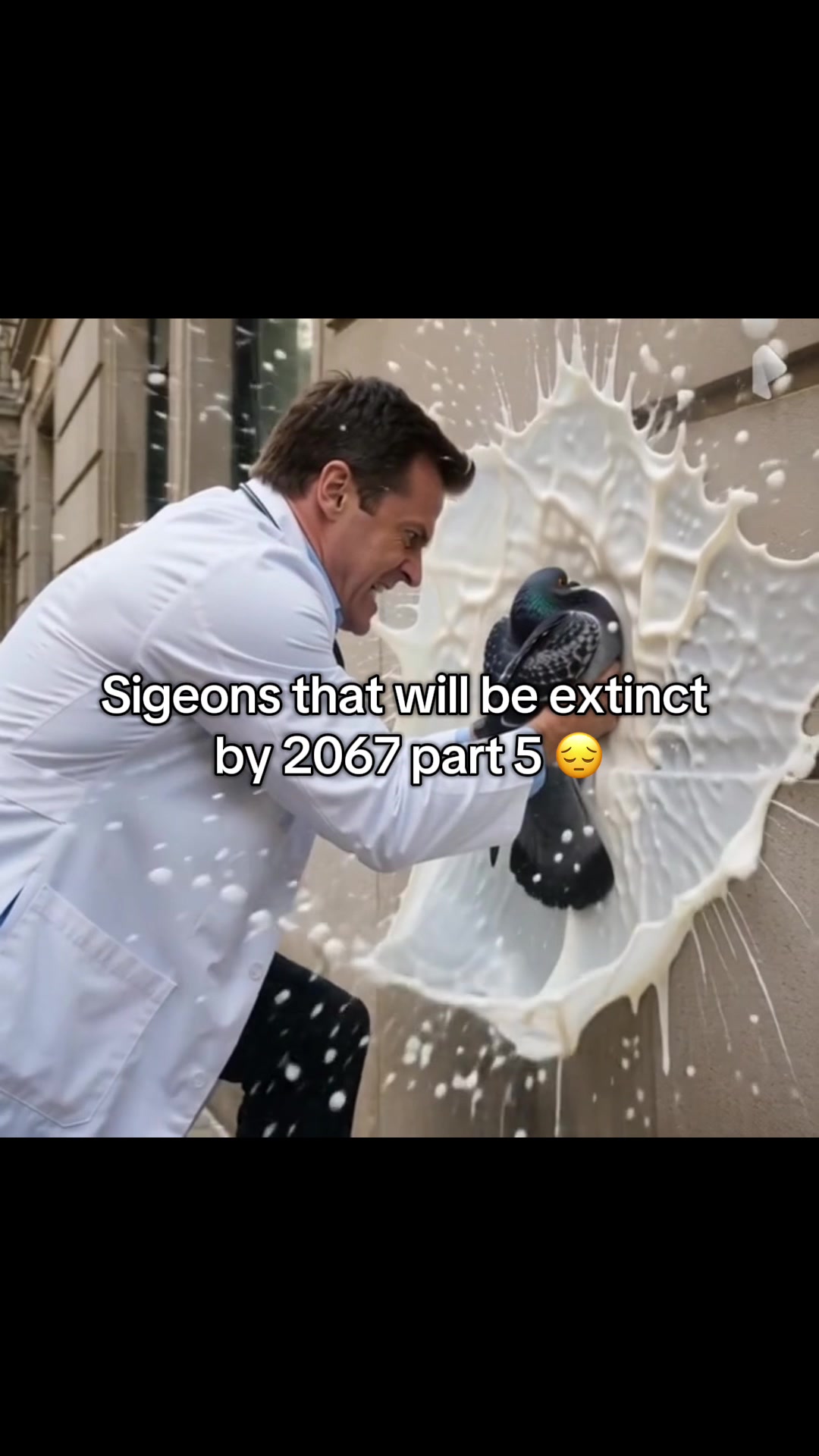 @Silver Sigeon