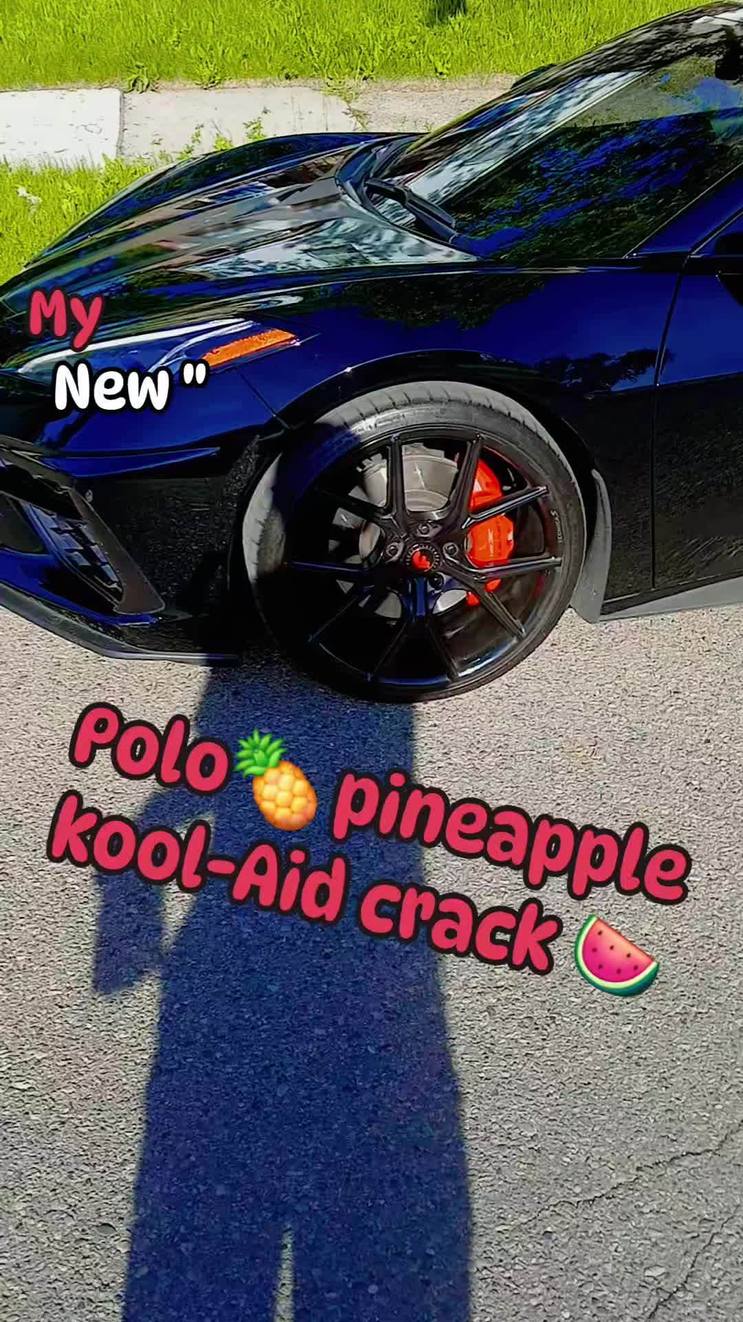 @polo"polo"