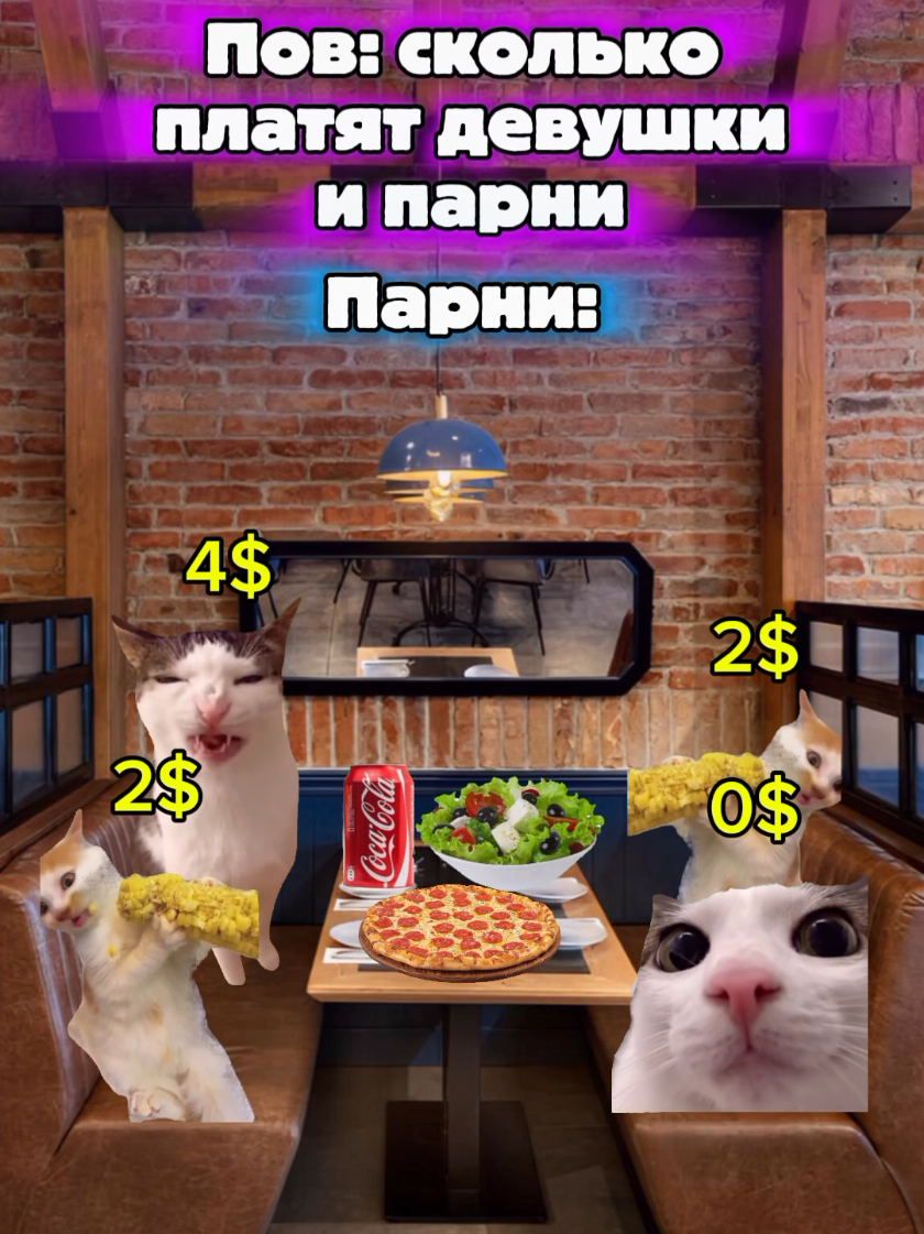 @MisterCat
