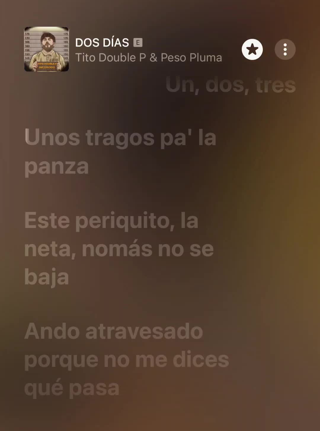 @🎧MUSIC🎧