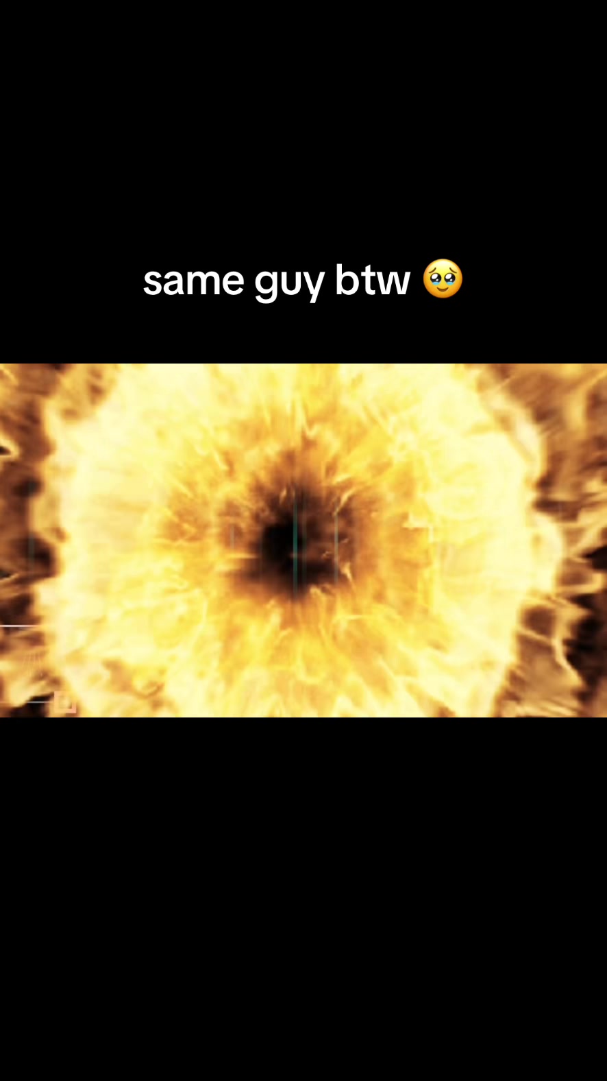 @chomikwozik