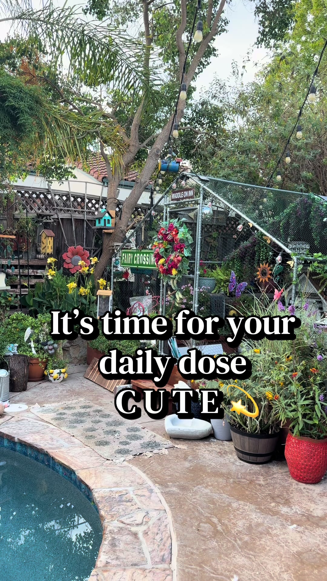 @Sherry&rsquo;s Backyard Sanctuary