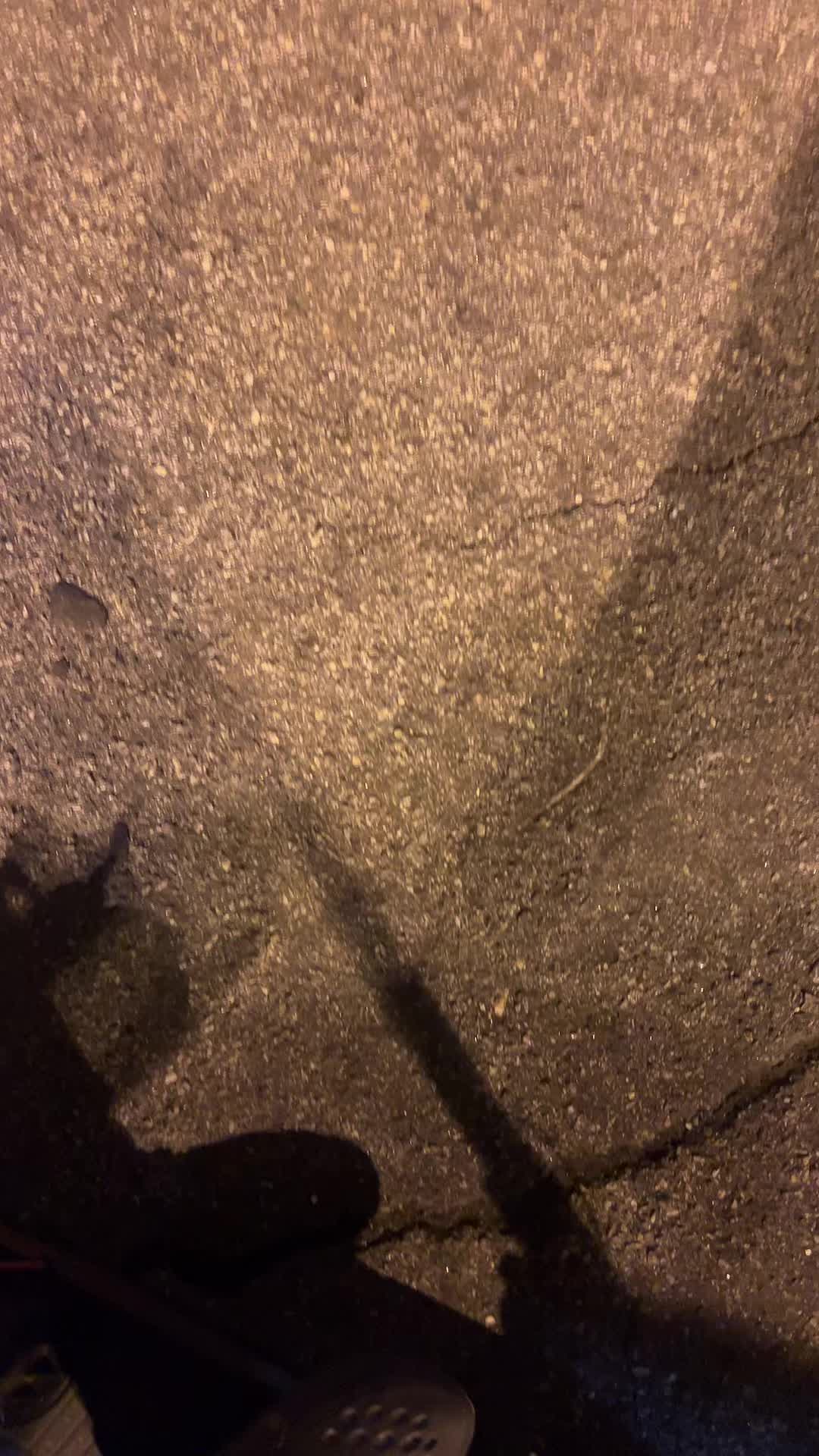 @EŁD&Oslash;N.PE&Ntilde;AFIEL🤠🇺🇸🇲🇽