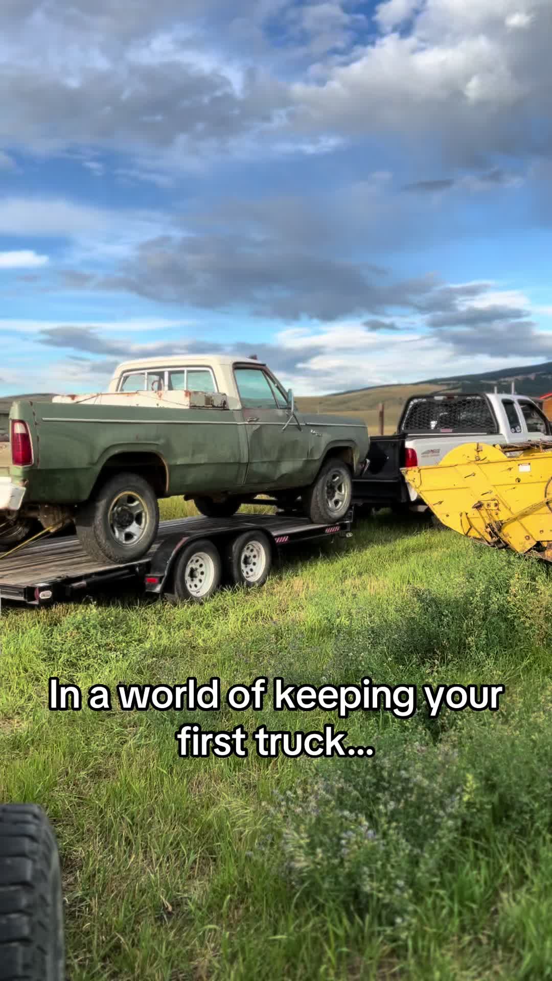 @️freedomtofarm