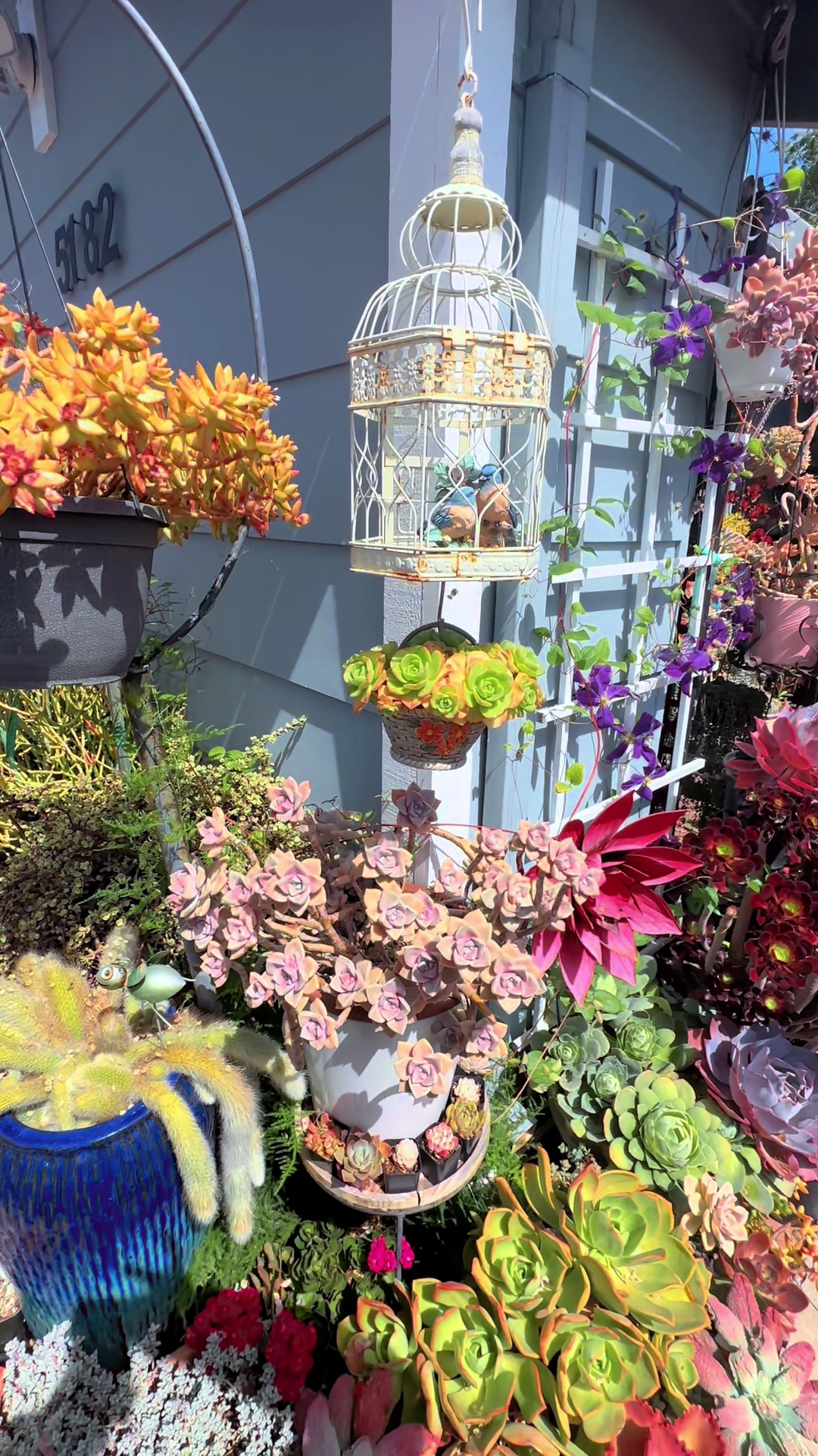 @euphoriablooms