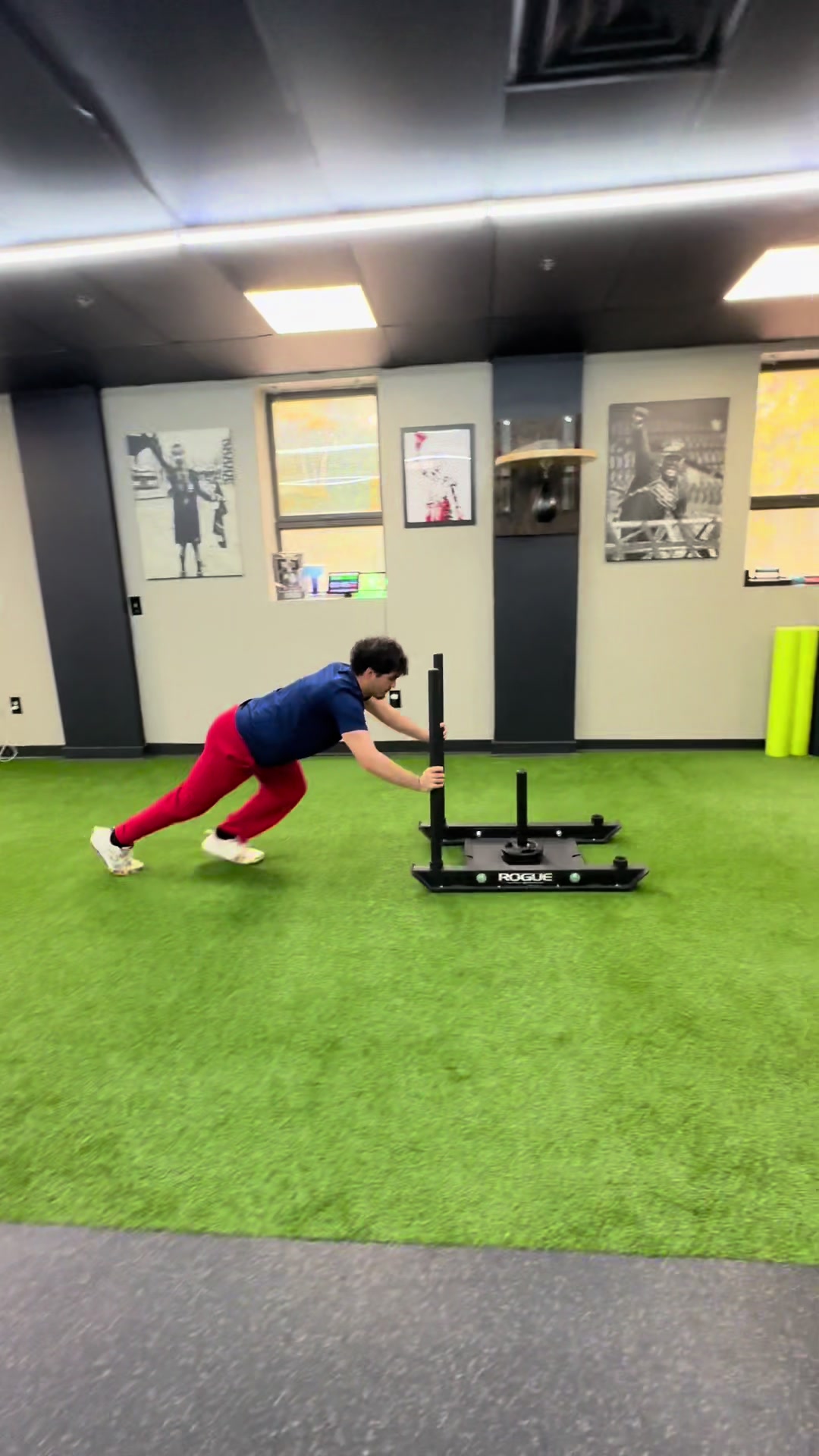 @Freddylive Fitness