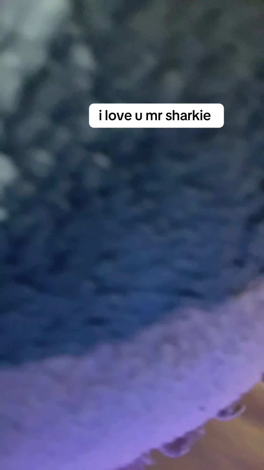 @Lexi