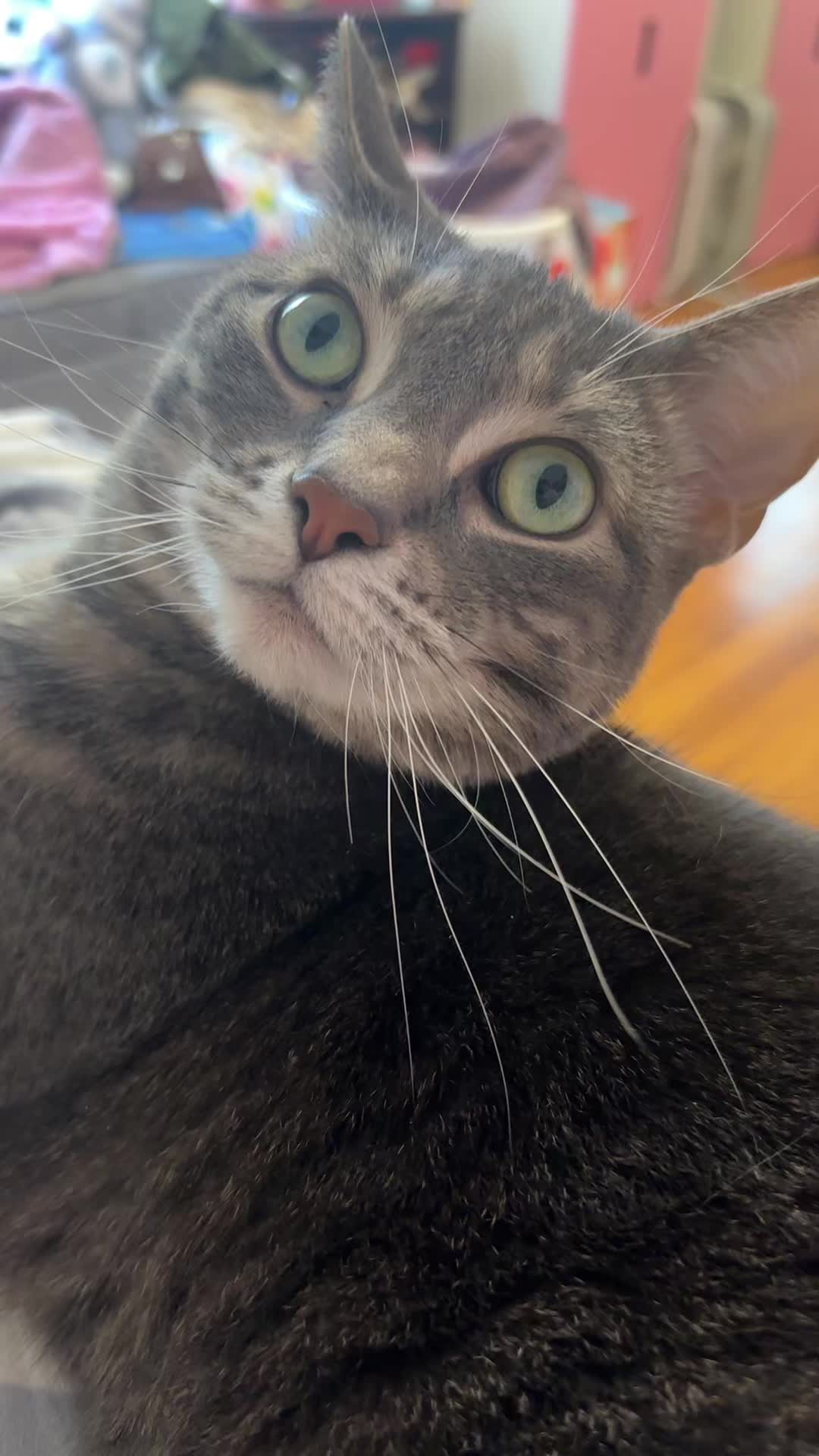 @๐ โ