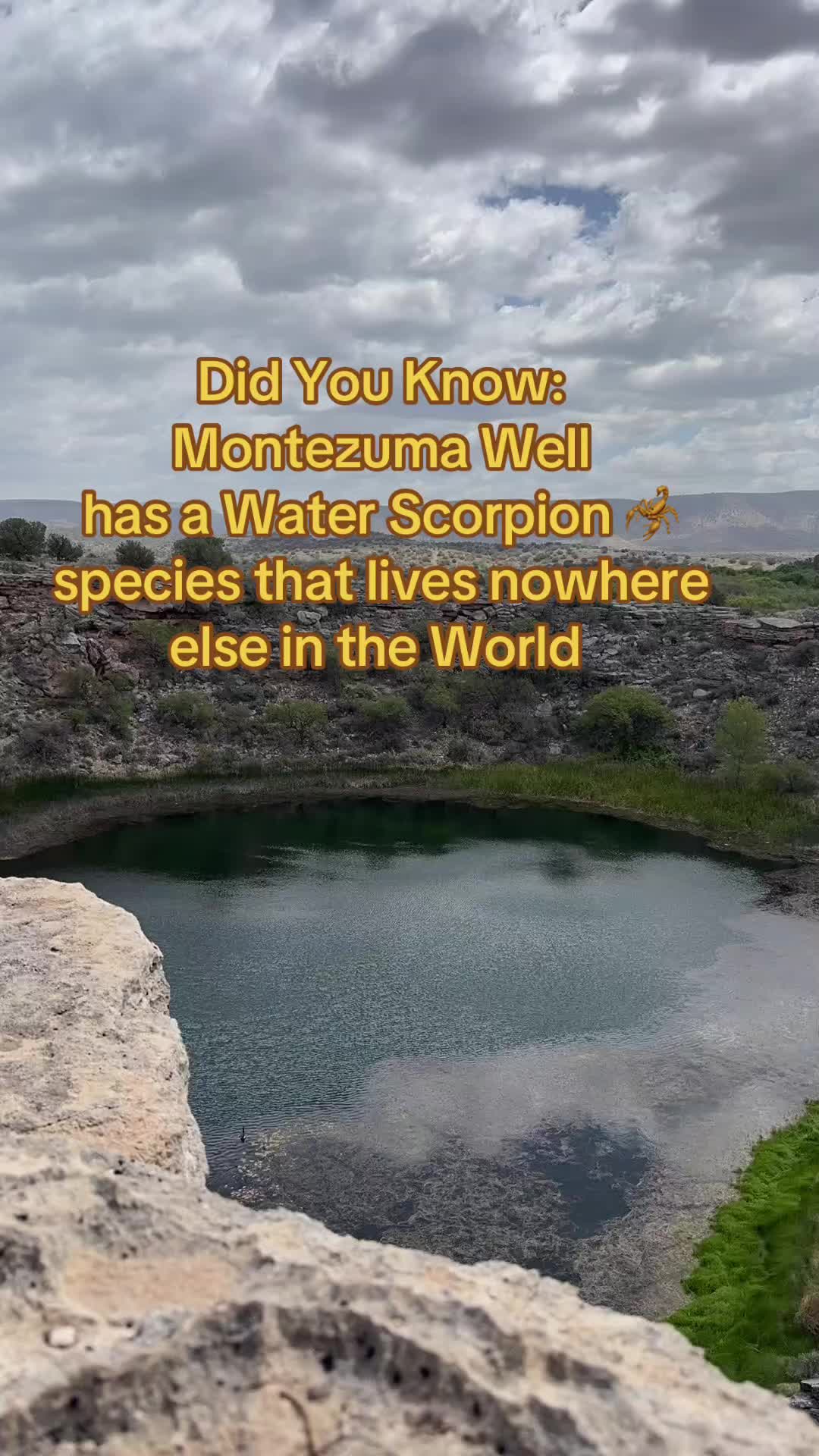 @ArizonaTribe