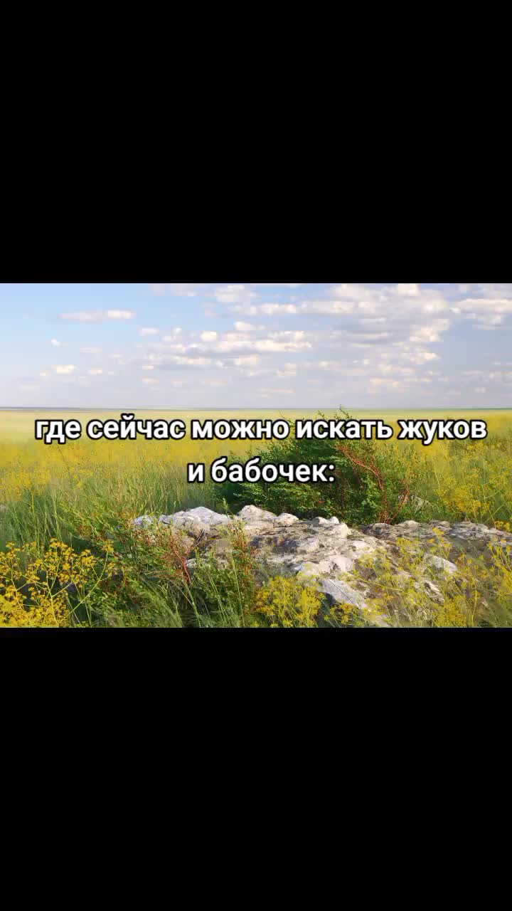 @Арсений🎀