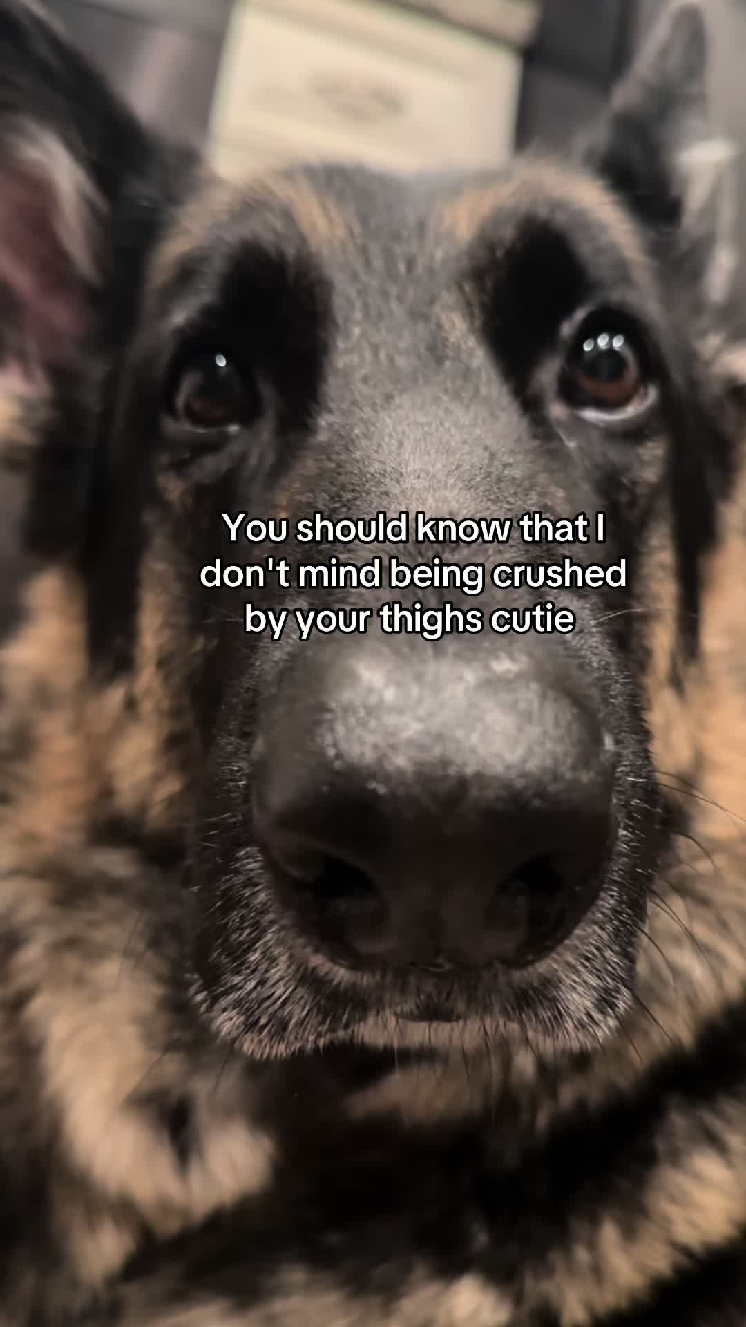 @Bhris