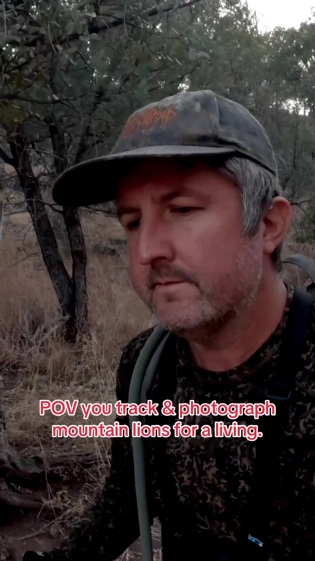 @Jeff Wirth