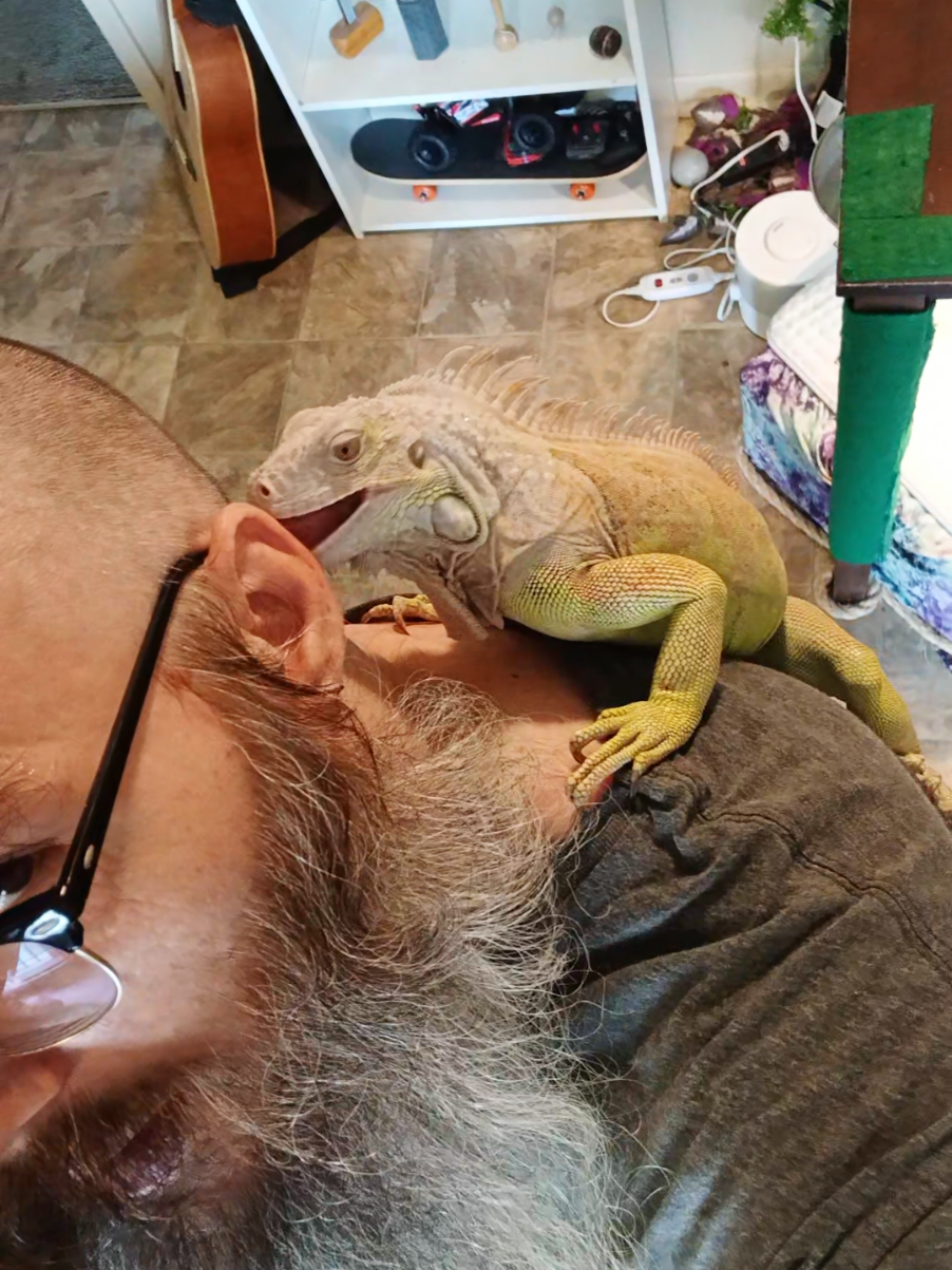 @Jimmy4 🦖