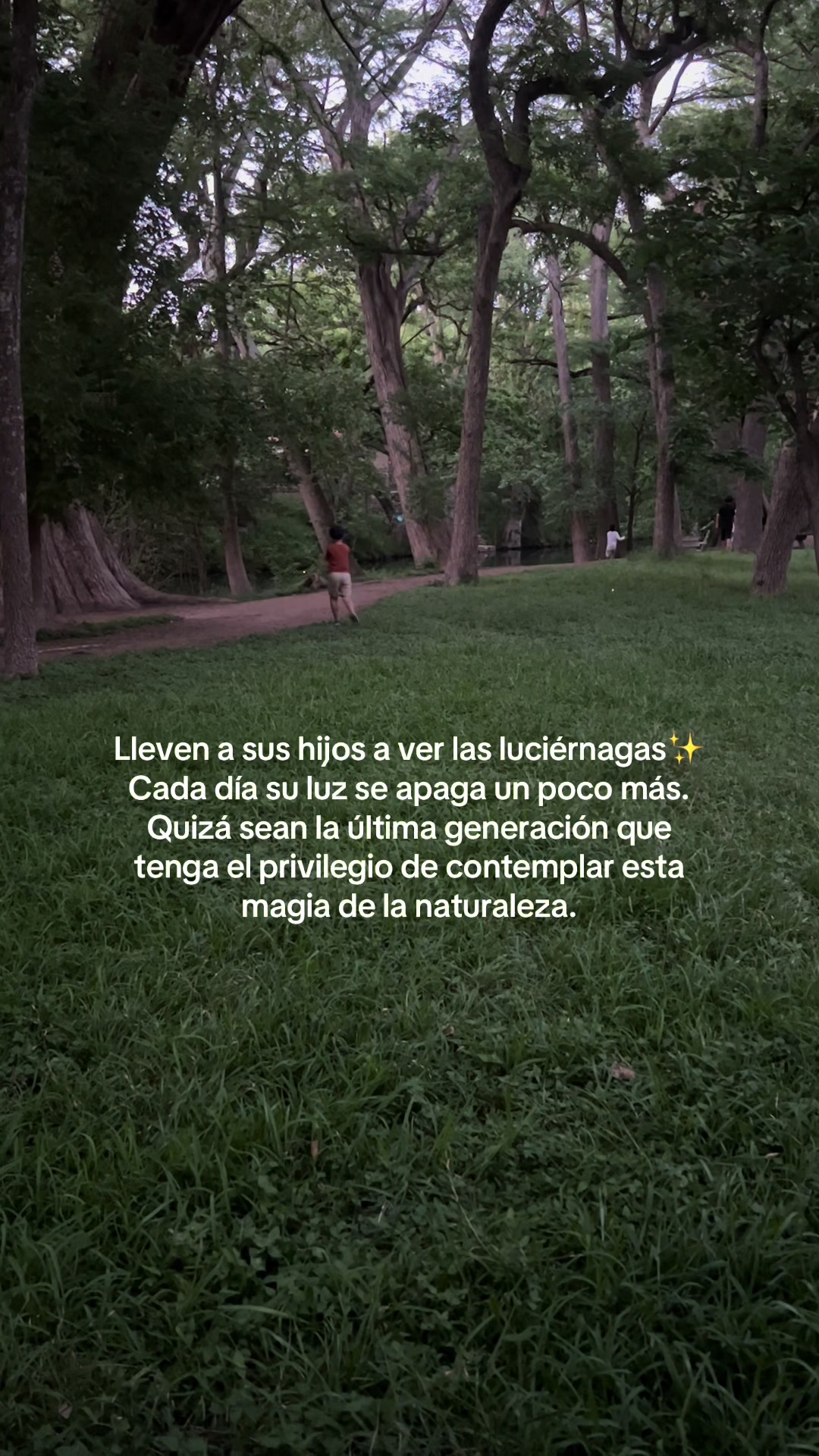 @Yari Serafin 🦋| BookTok 📚