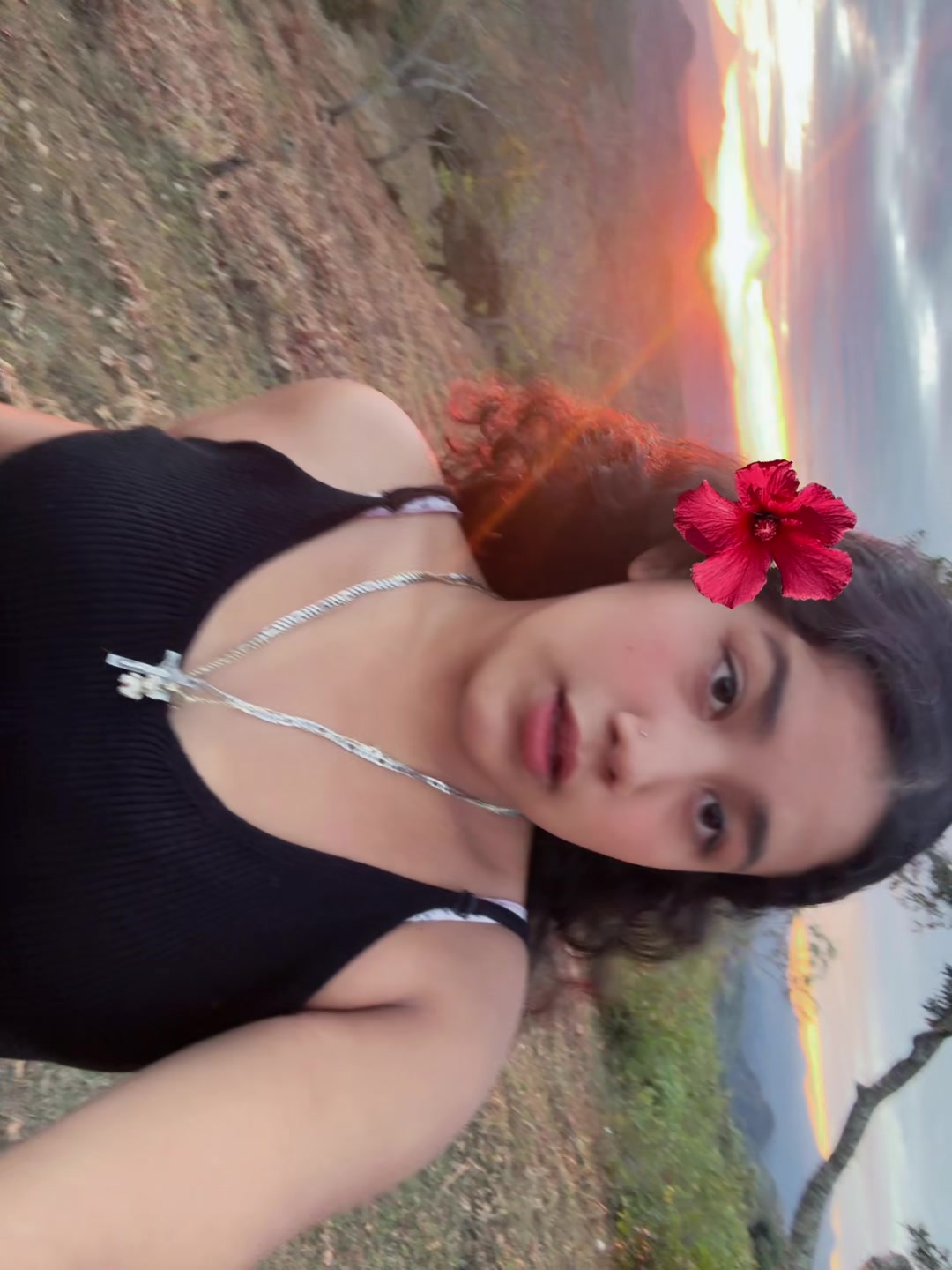 @Brizeida