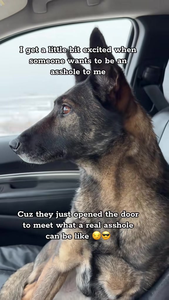 @K9 Dina