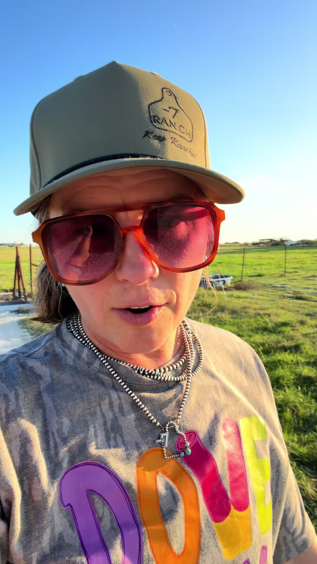@Bar 7 Ranch