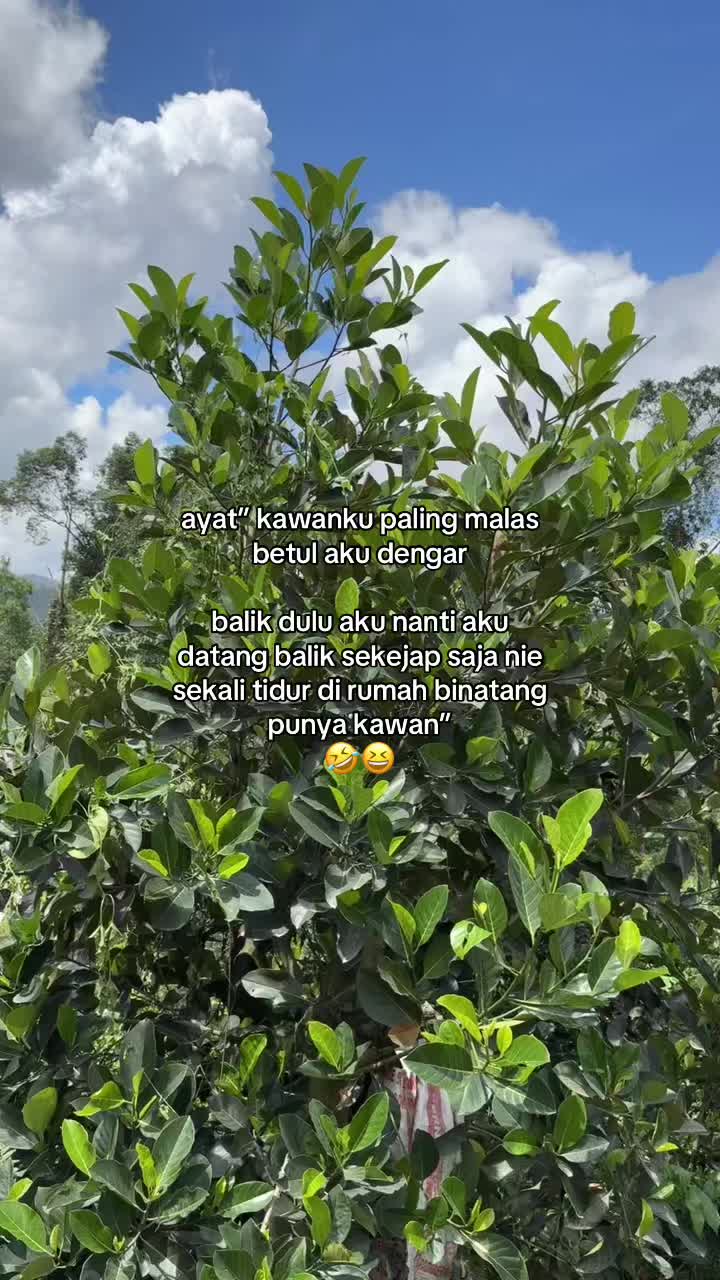 @shaaa&rdquo;🦋