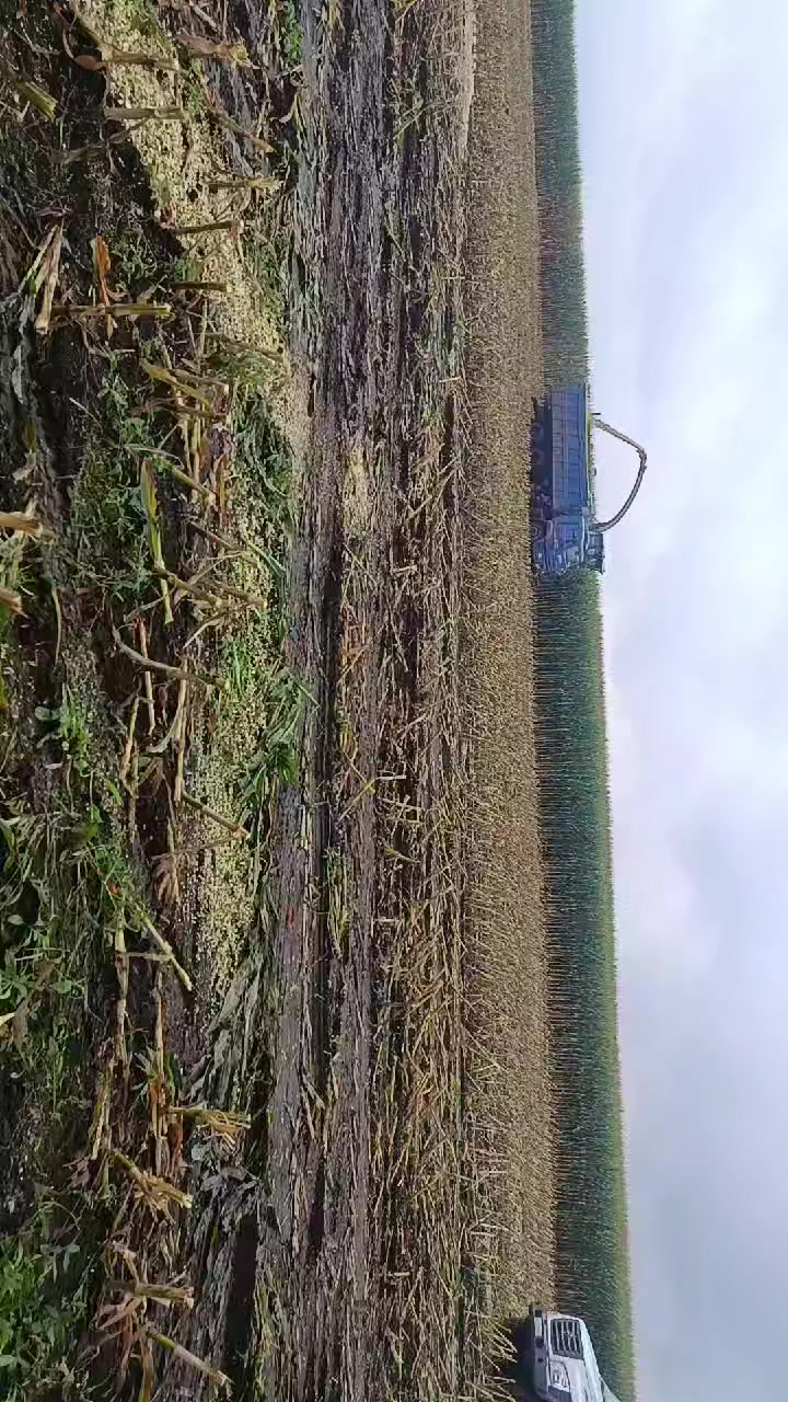 @Александр