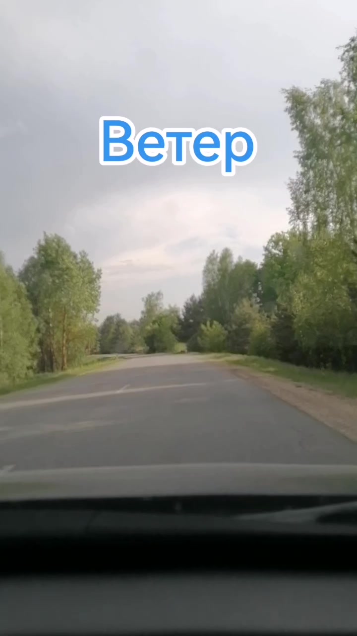 @seregabos