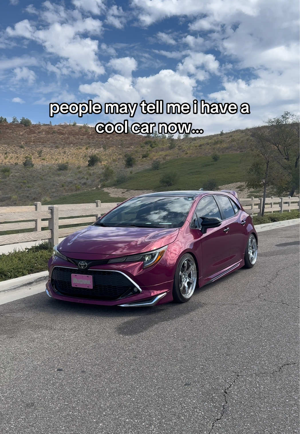 @wnt2bevo