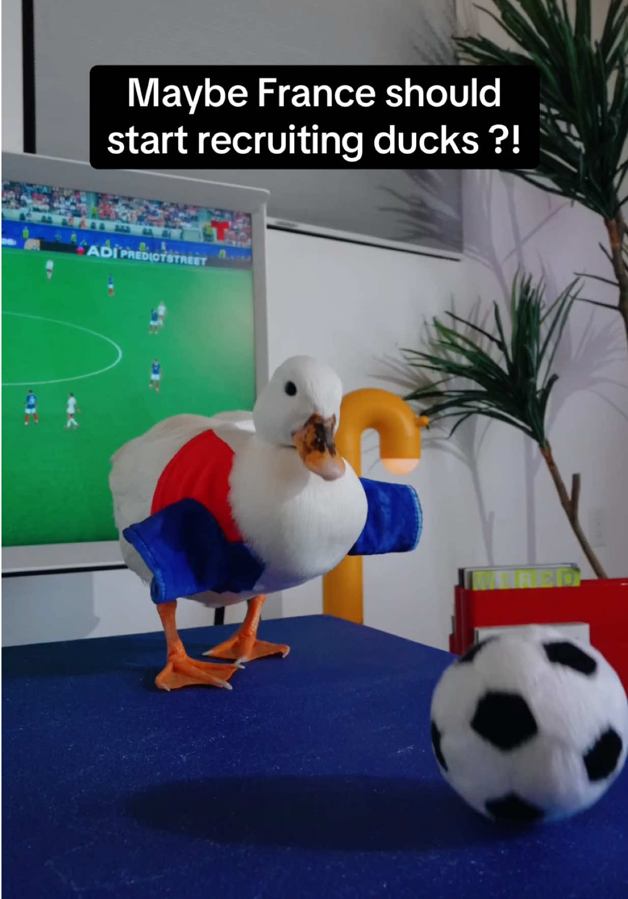 @ducks_in_space🪿🪿💦
