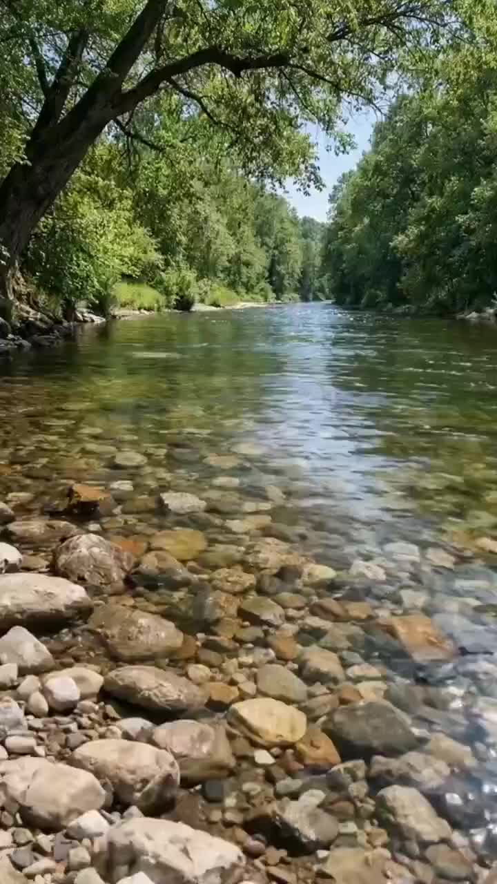 @DISCORETRO