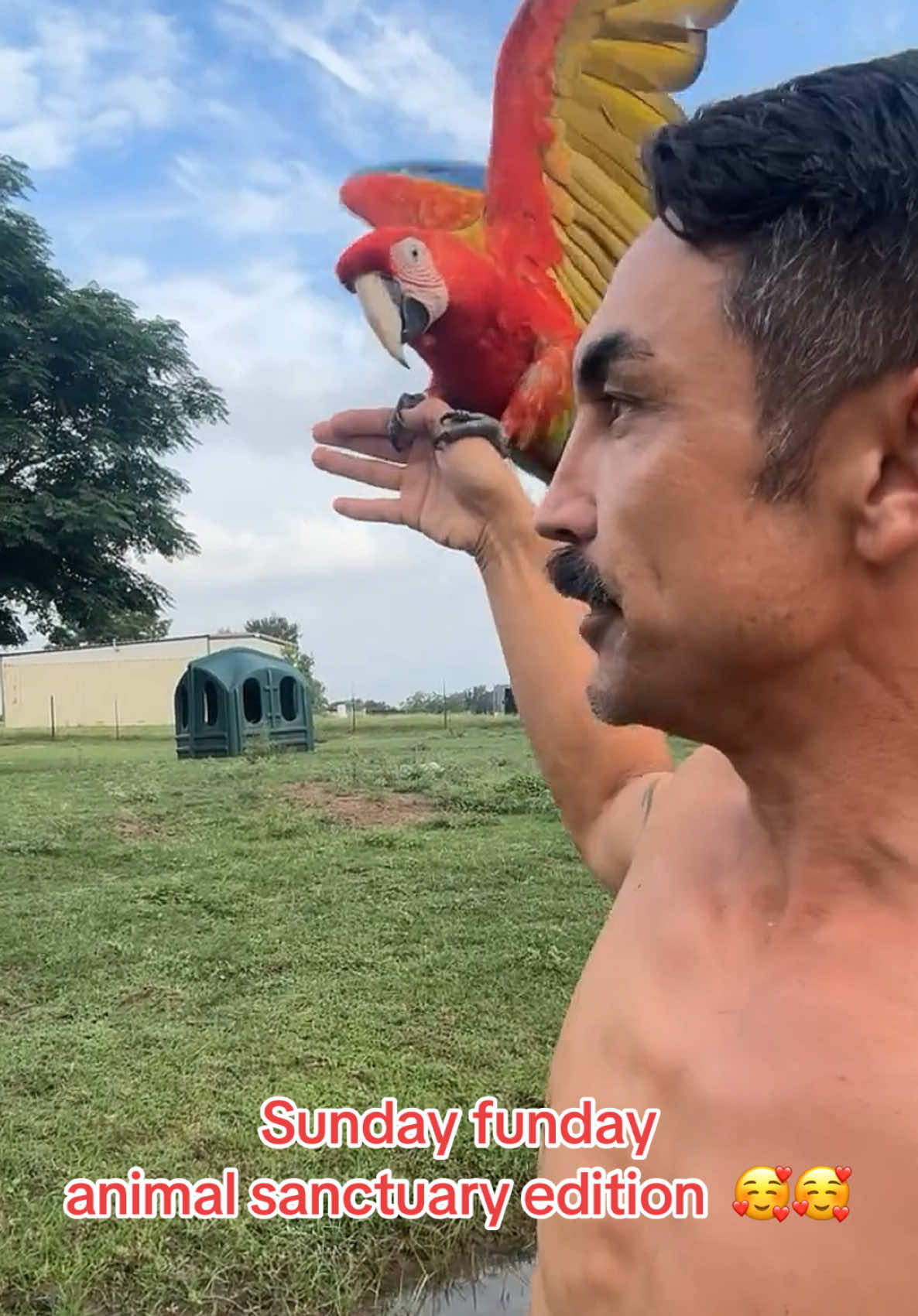 @The Gaysian cowboy