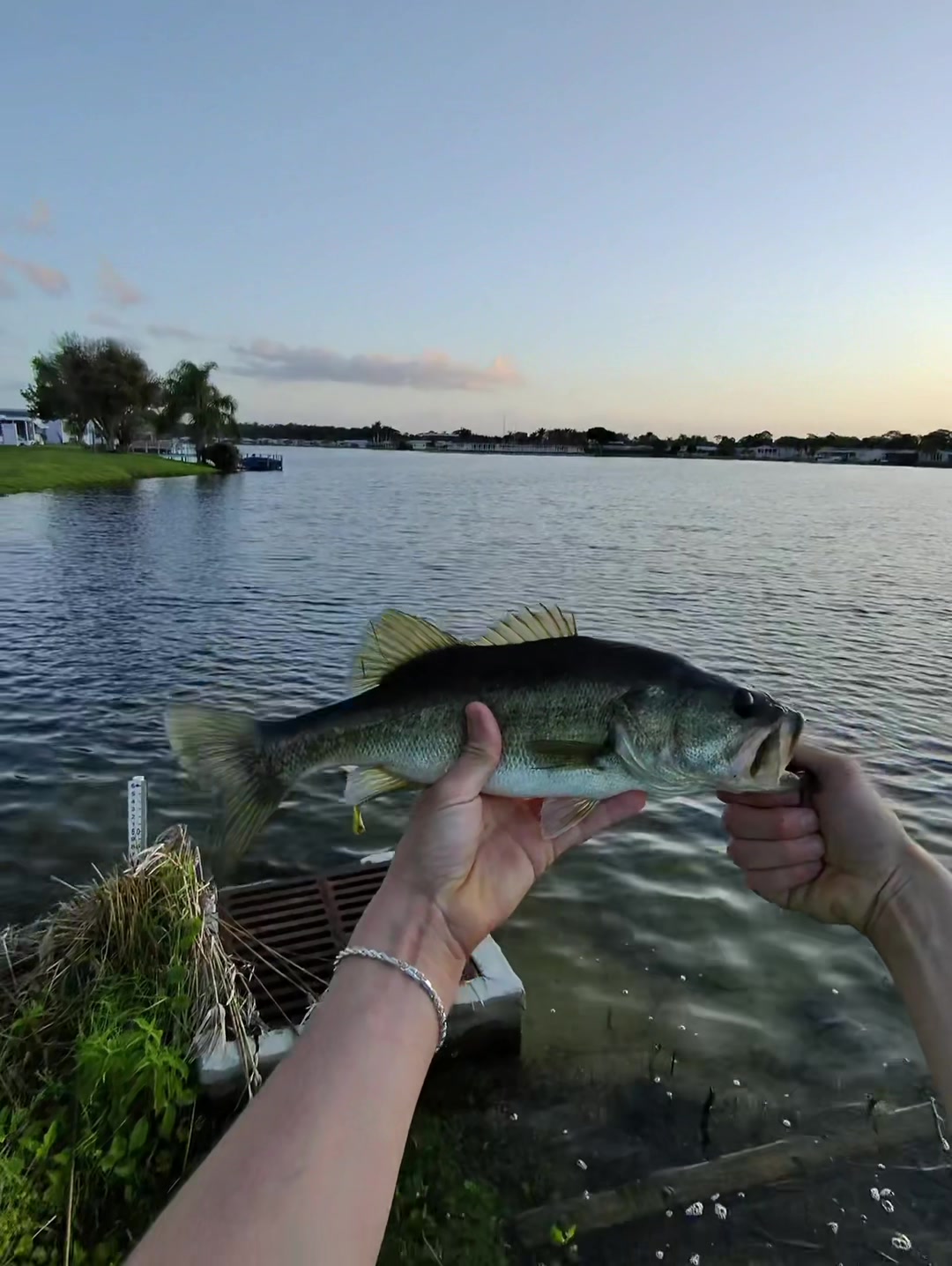 @PickleFishin