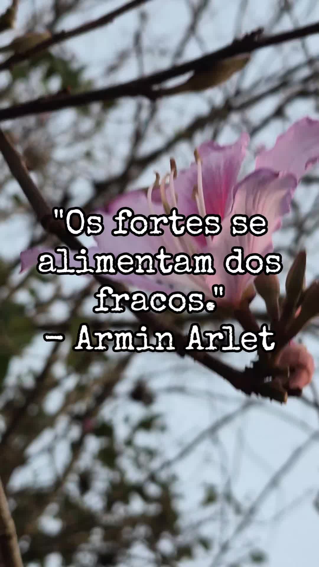 @𝑁𝑎𝑘𝑖