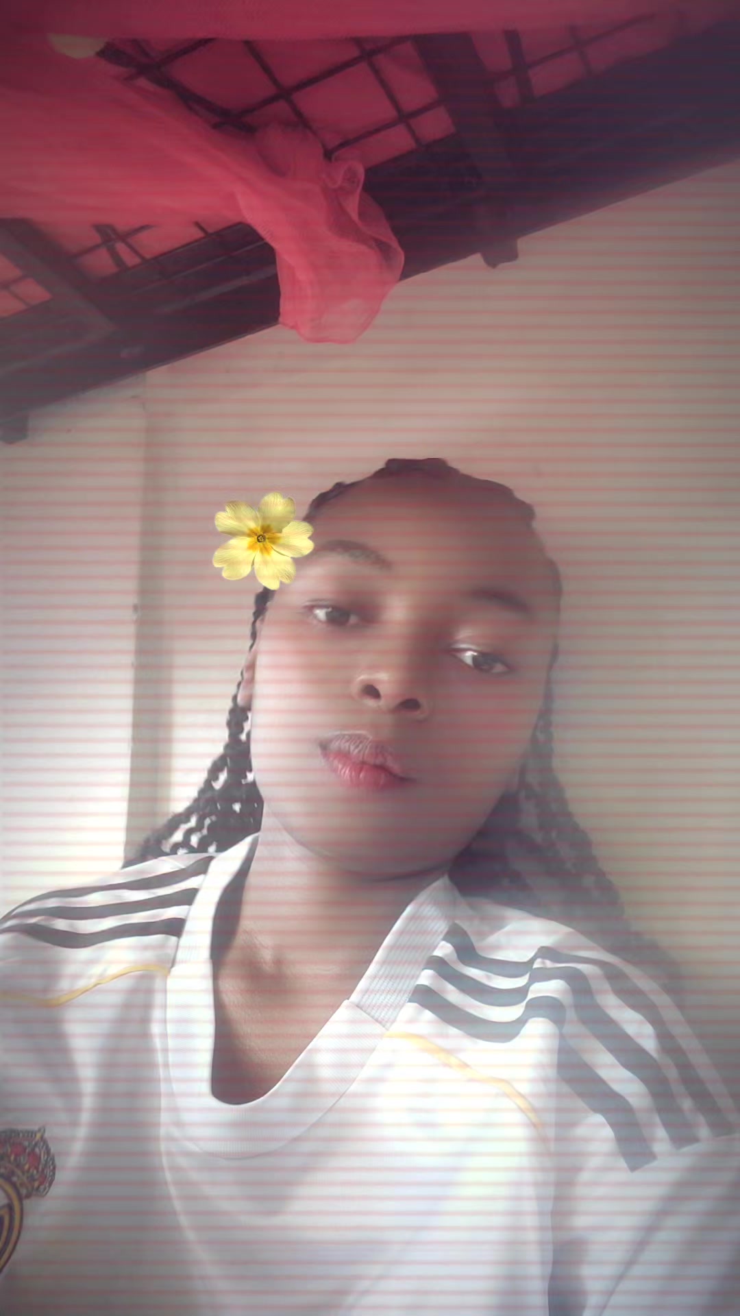 @success daisy ๐๐