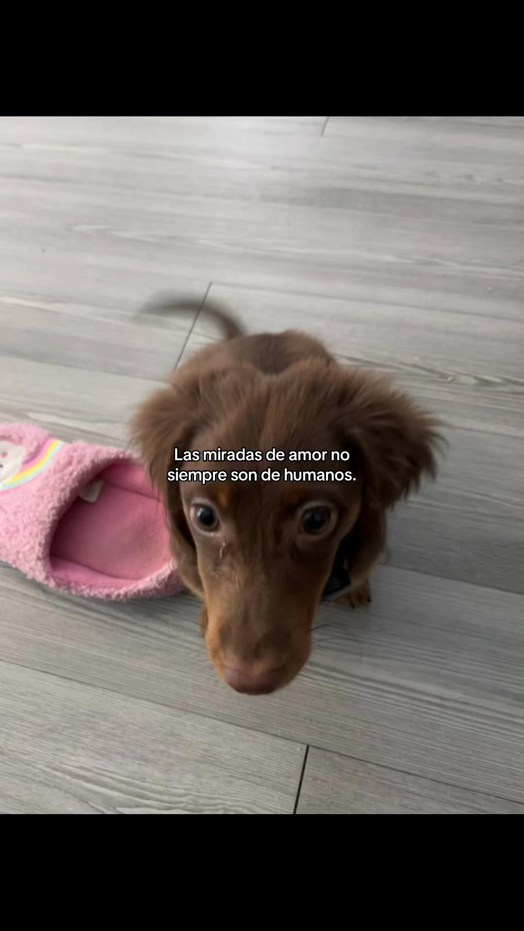 @Mxnuel