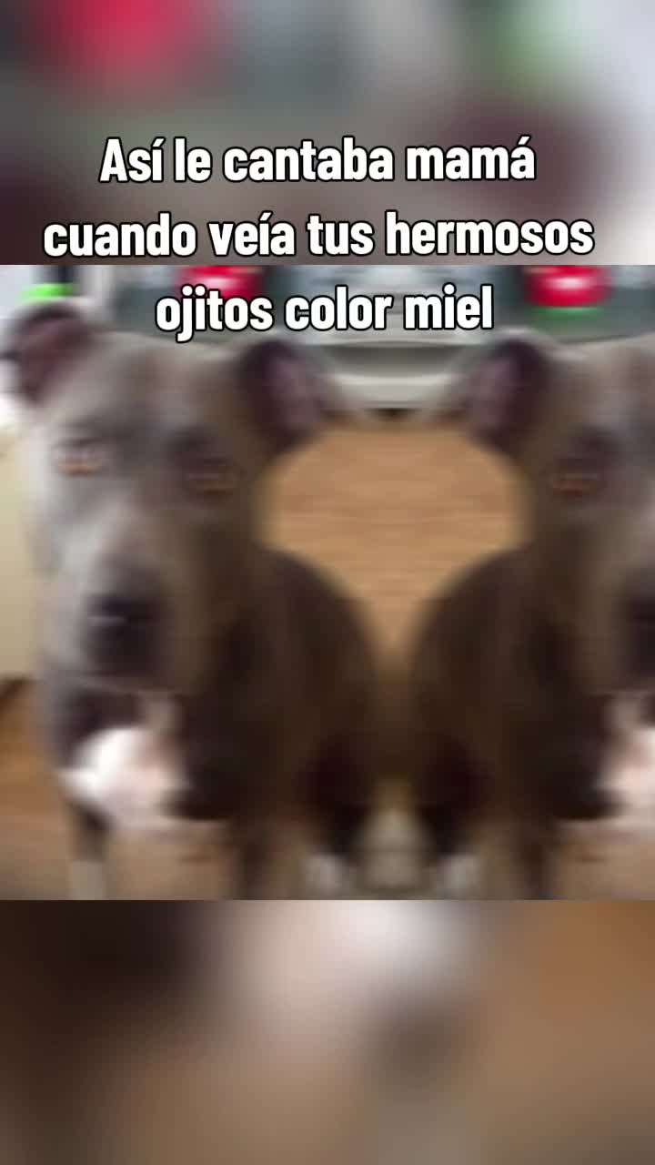 @mayraihr712