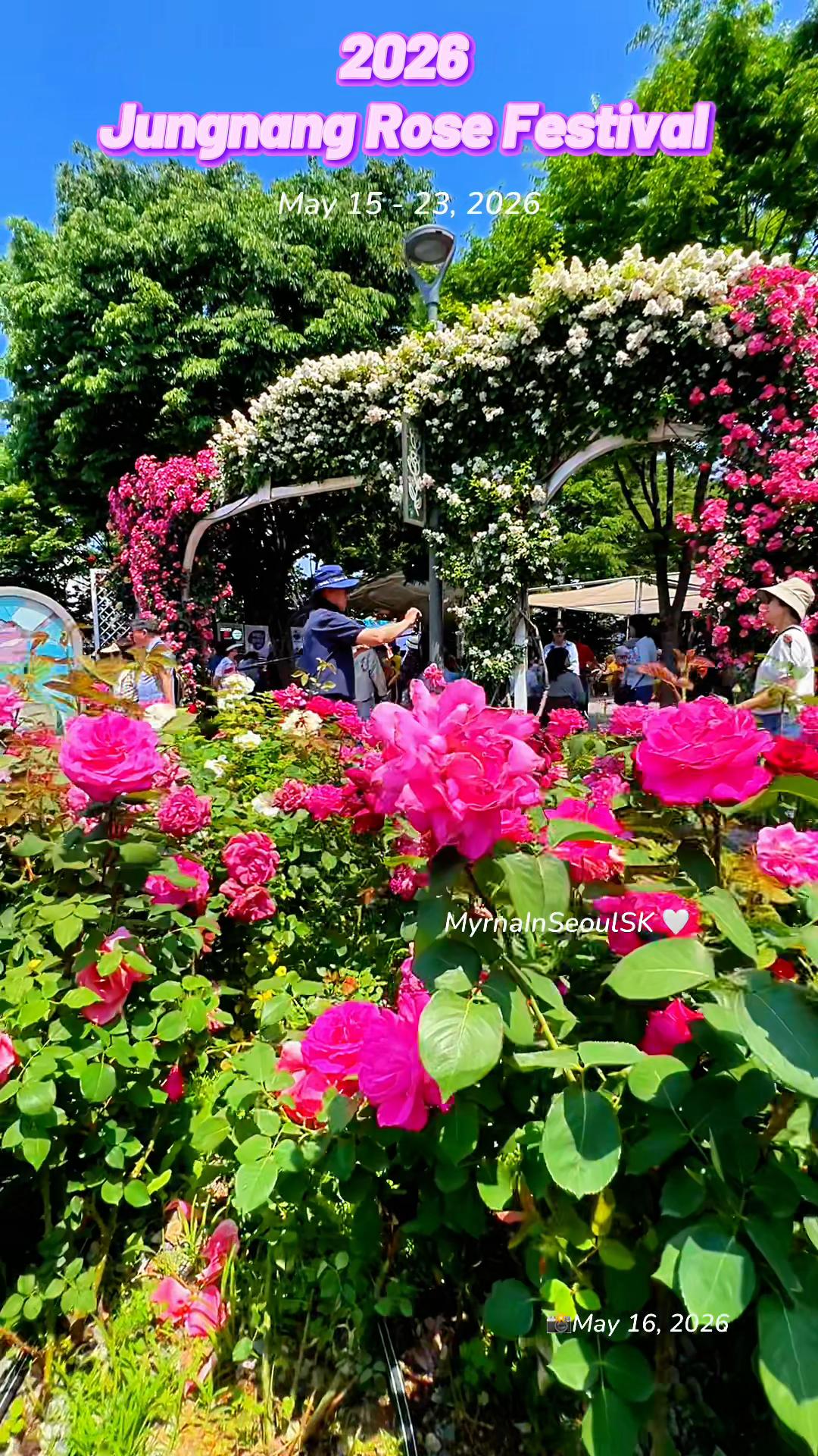 @MyrnaInSeoul 🤍 South Korea
