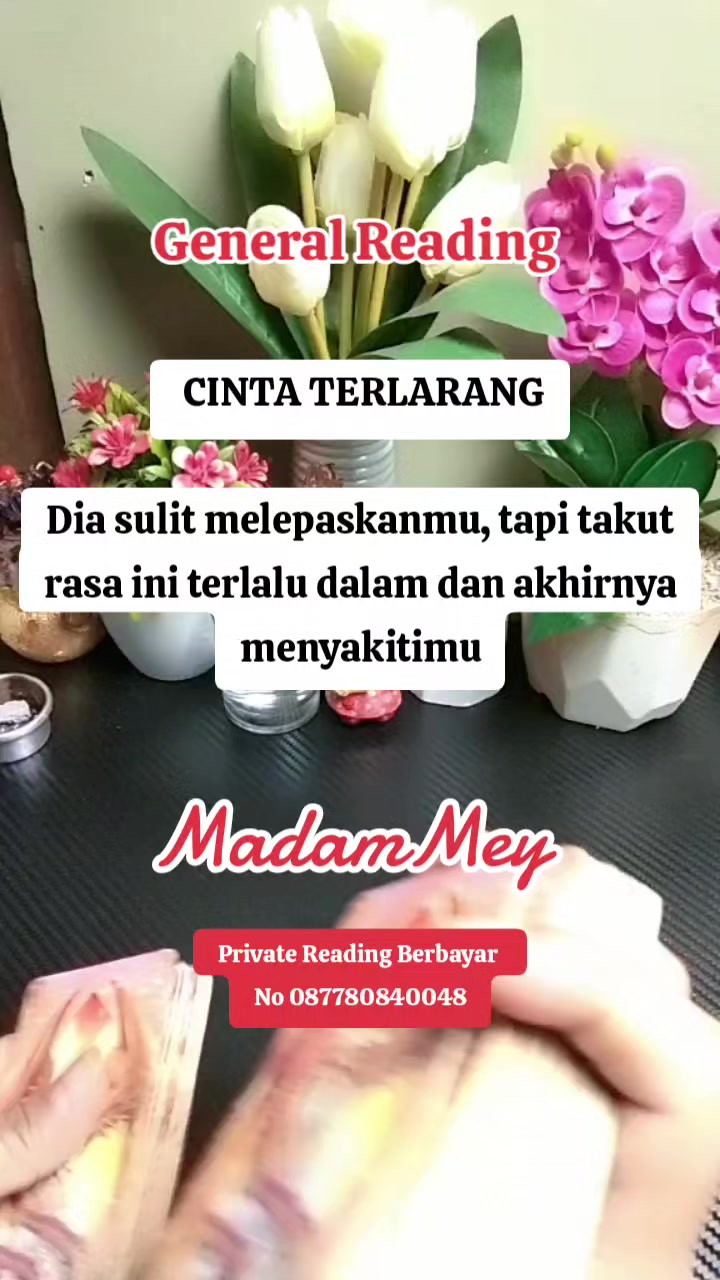 @🇲🇨MADAM MEY🇲🇨