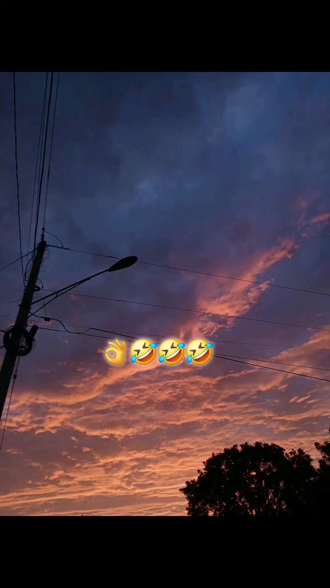 @coloteca🦂502